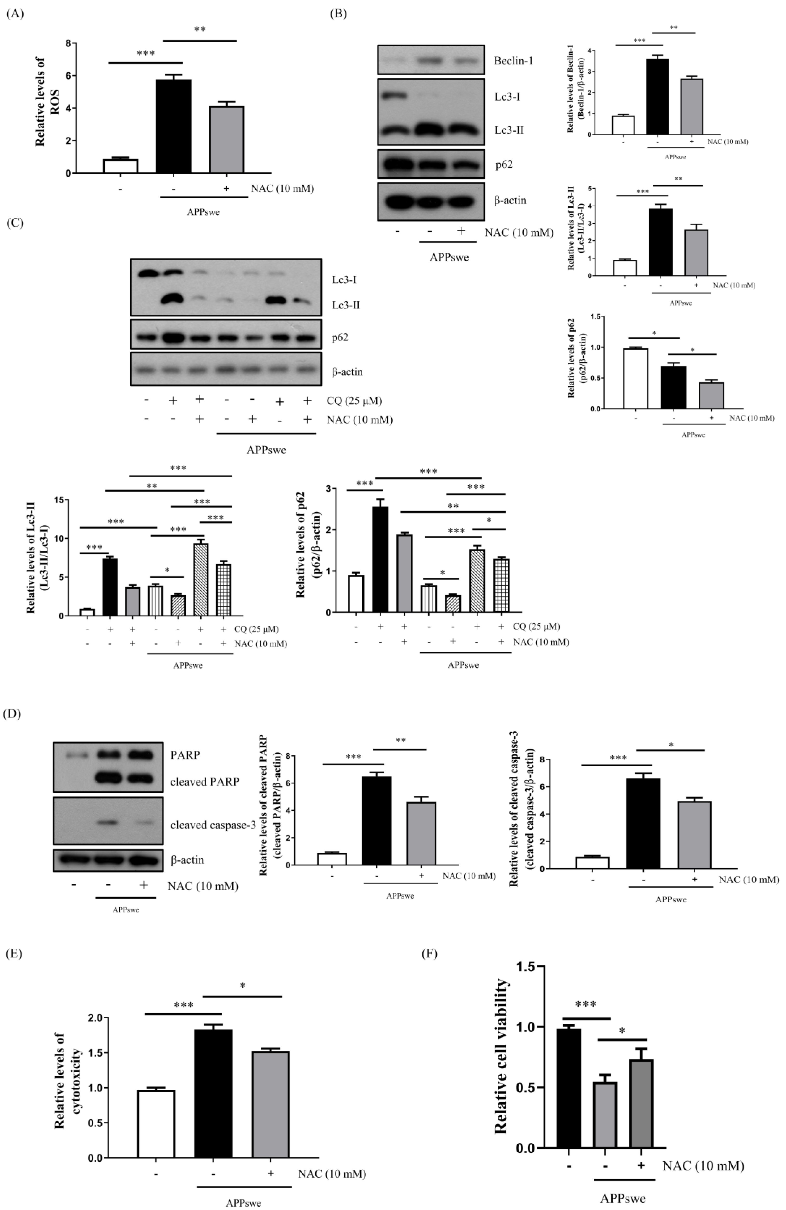 Antioxidants 11 01889 g003