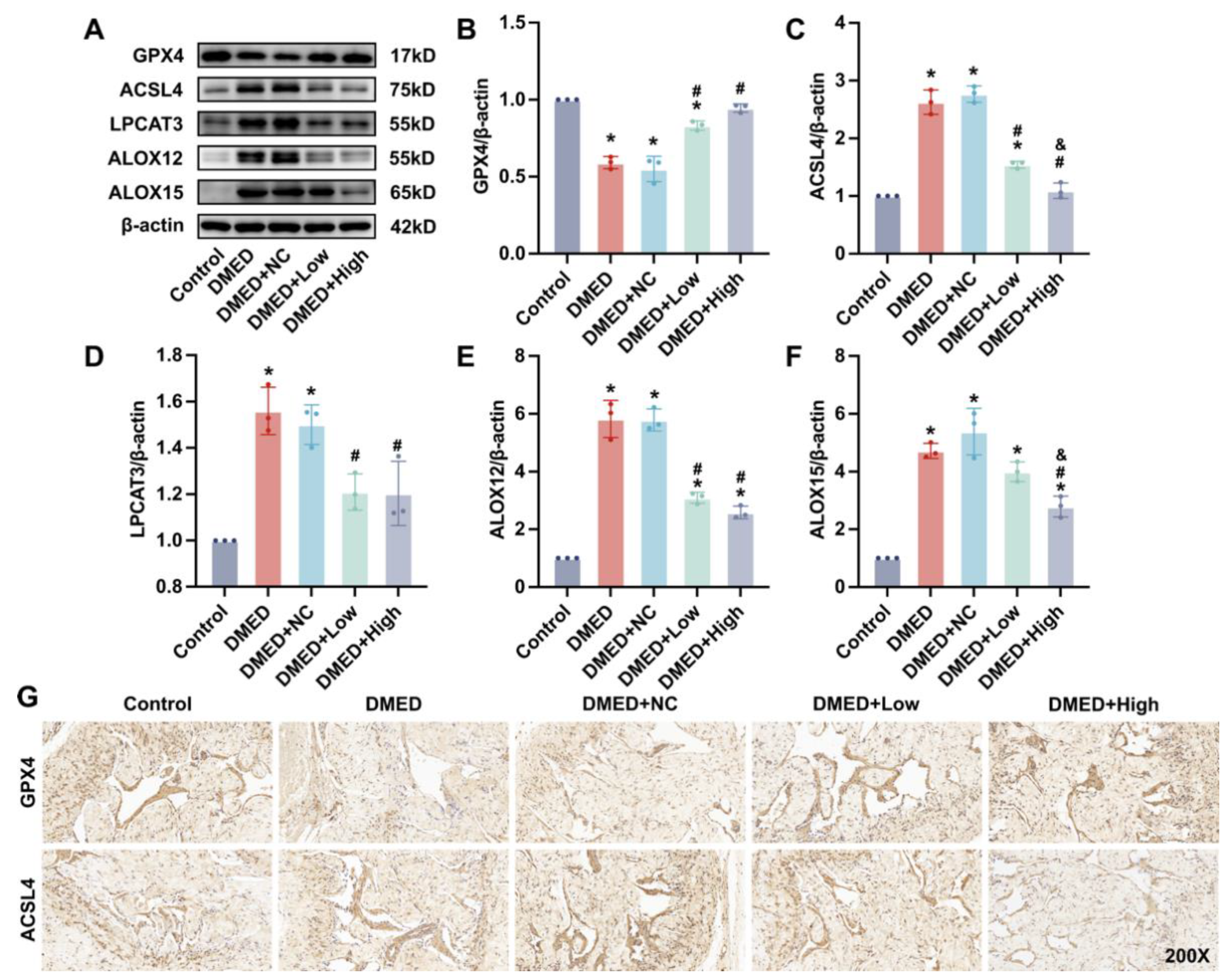 Antioxidants 11 01896 g002