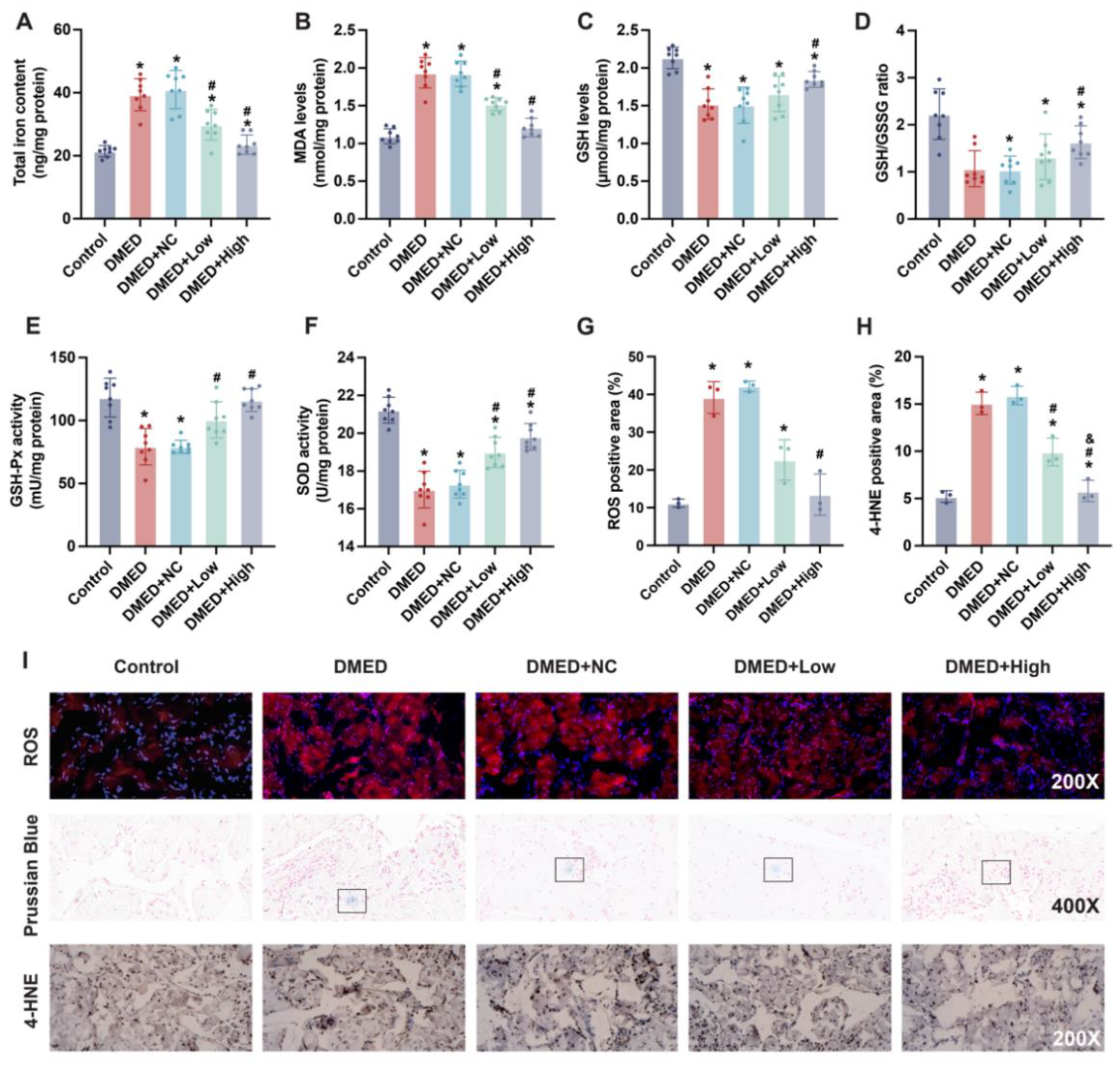Antioxidants 11 01896 g003
