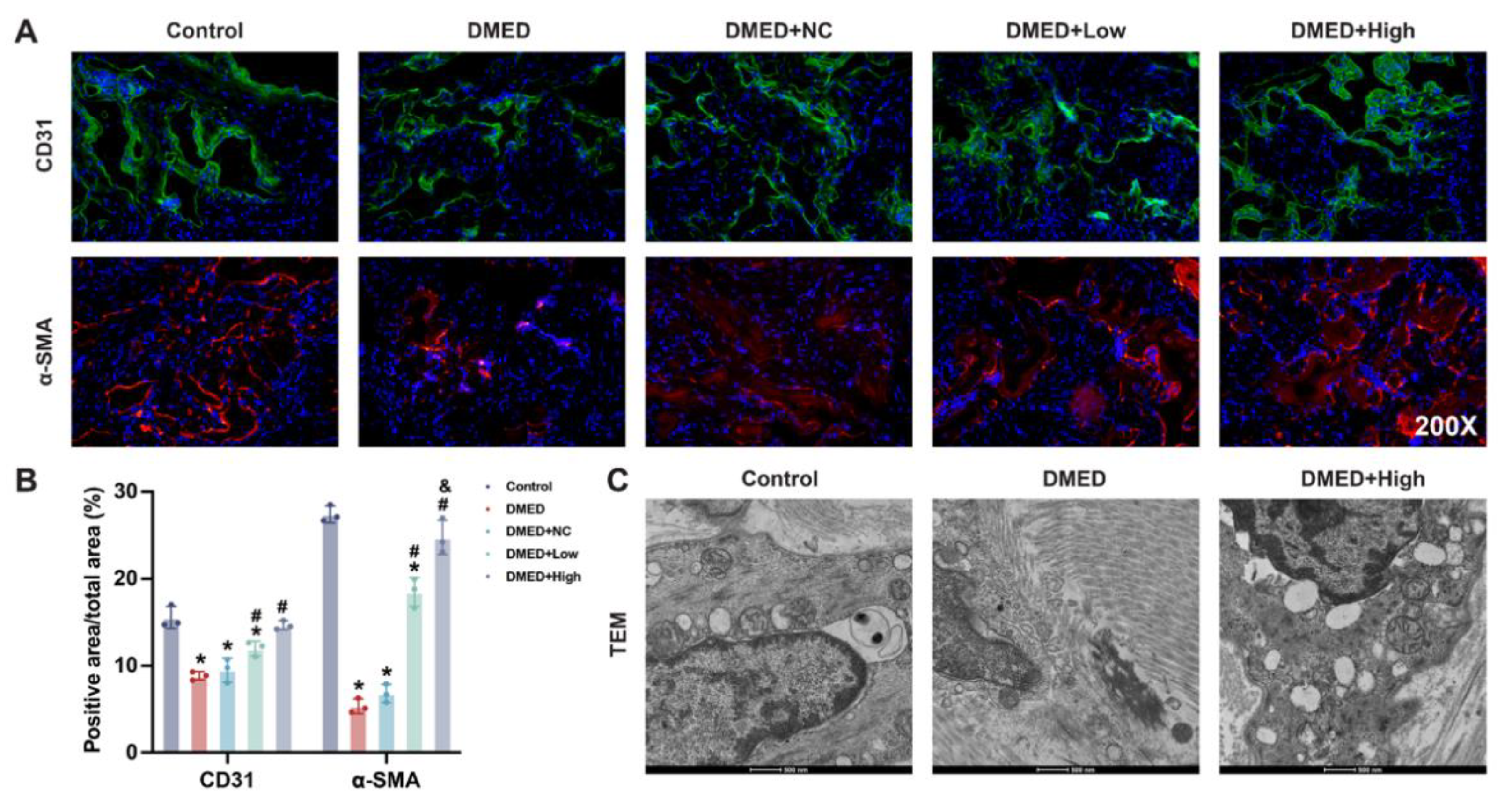 Antioxidants 11 01896 g004