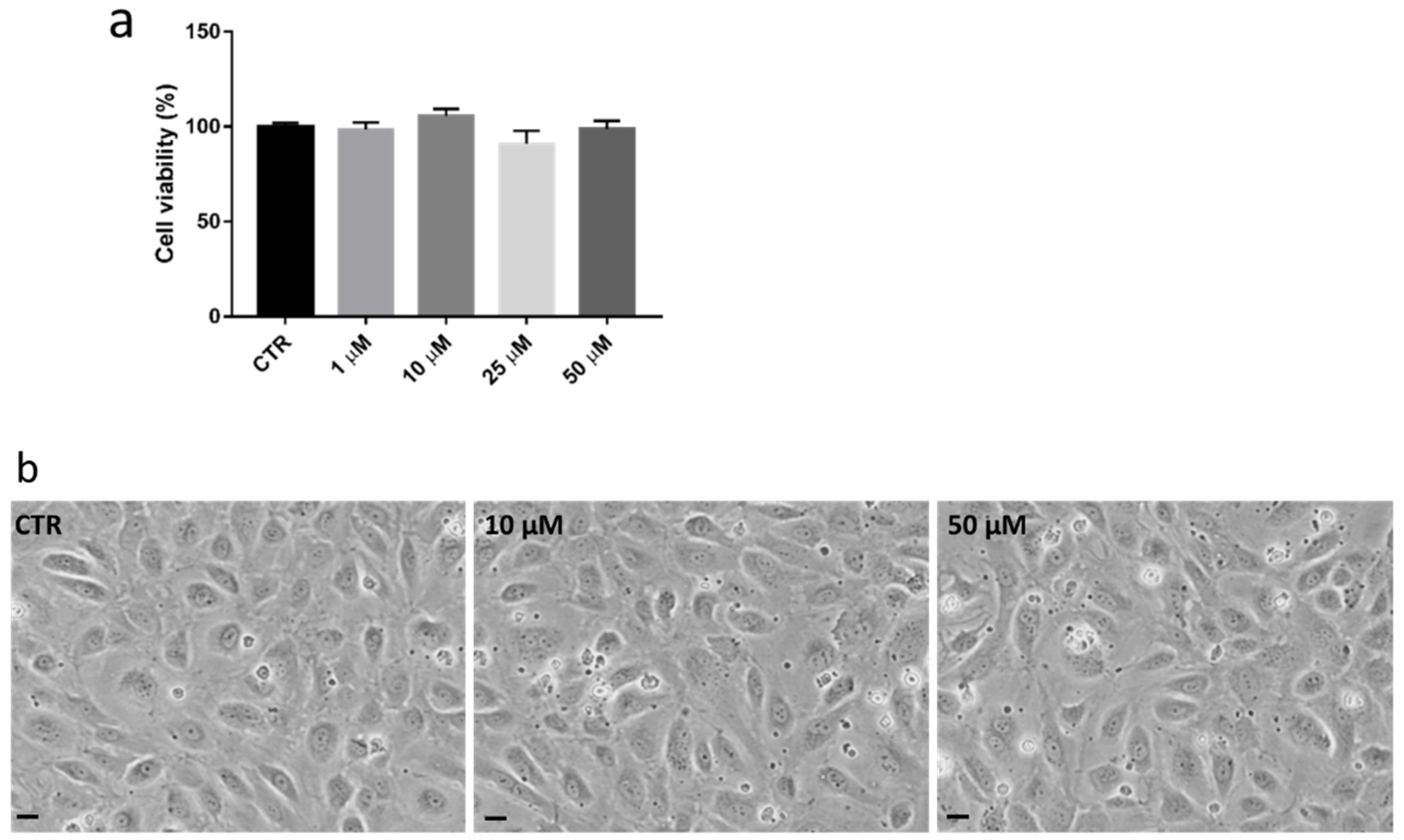Antioxidants 11 01924 g002 Antioxidants 11 01924 g002