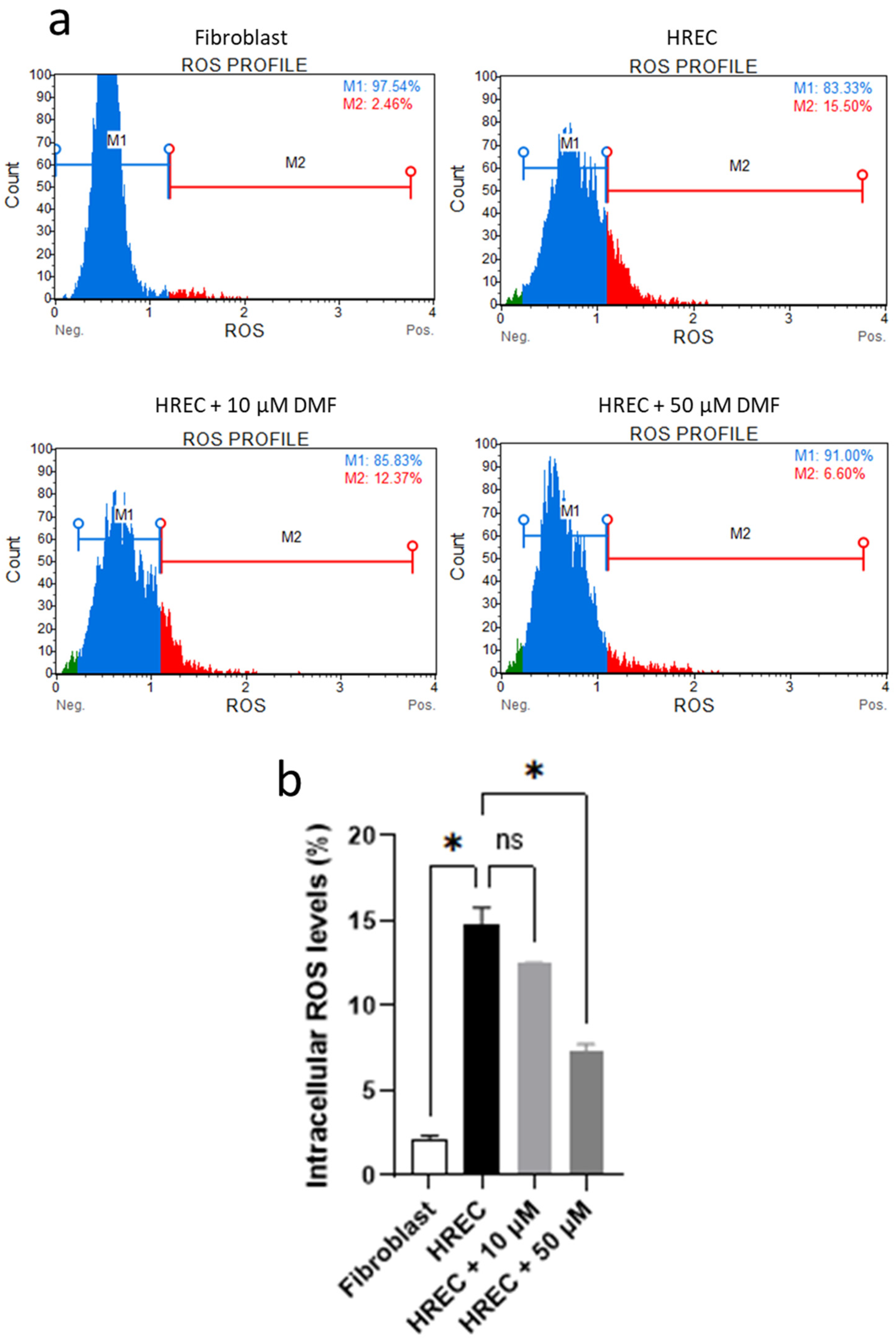 Antioxidants 11 01924 g006 Antioxidants 11 01924 g006