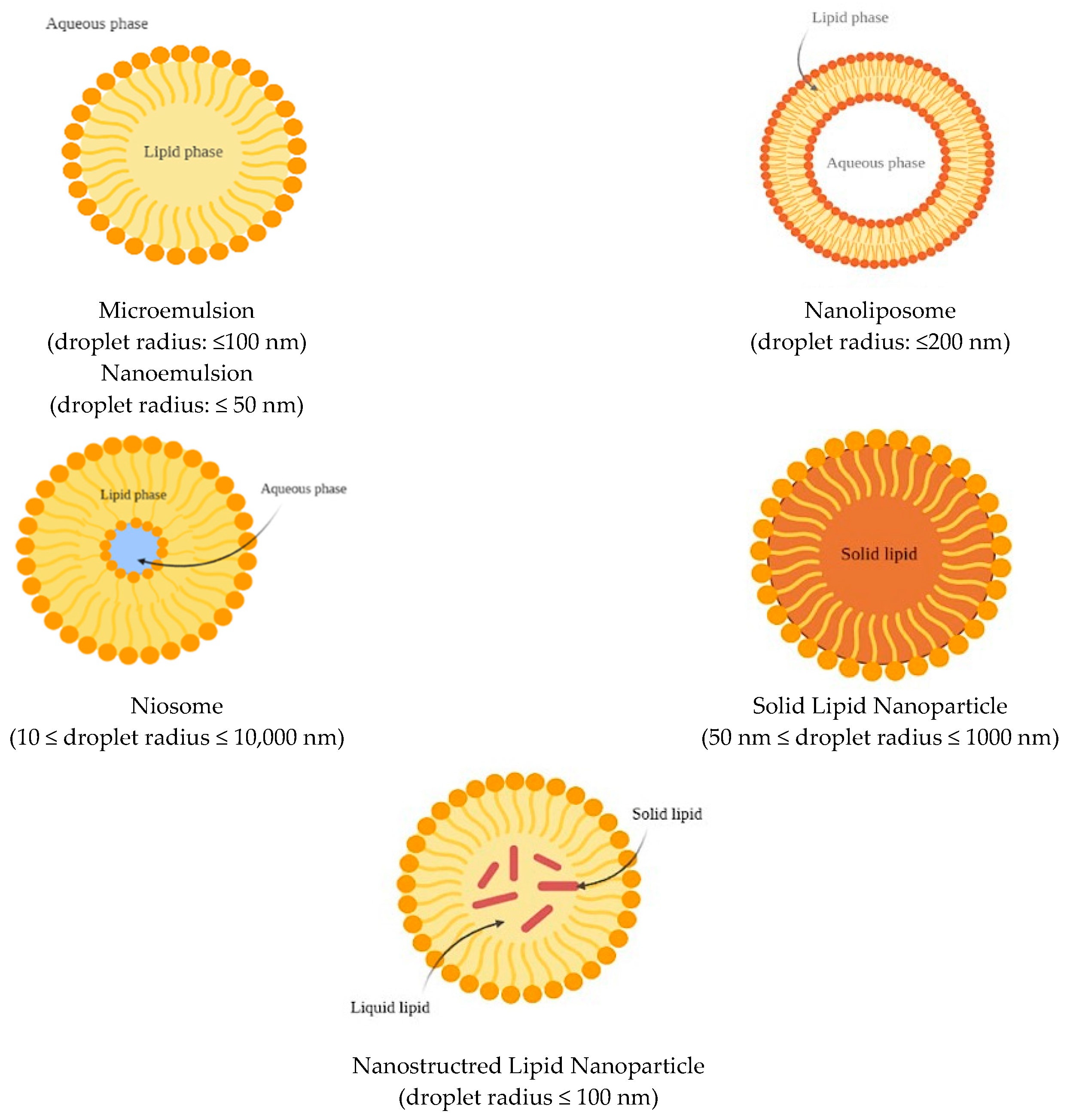 Antioxidants 11 01931 g003