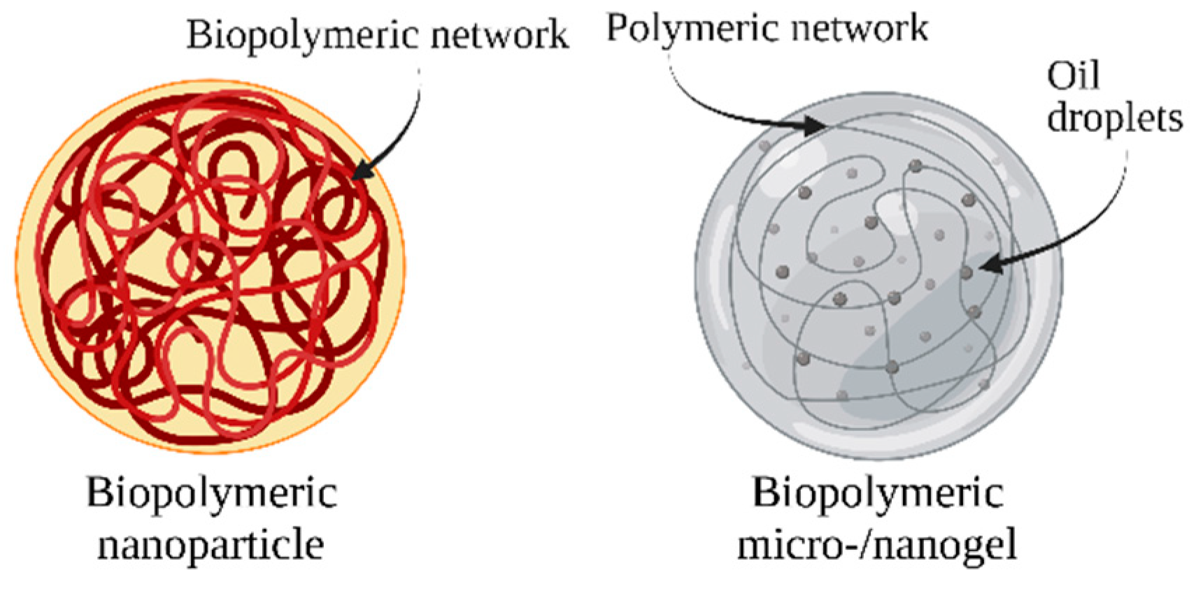Antioxidants 11 01931 g004