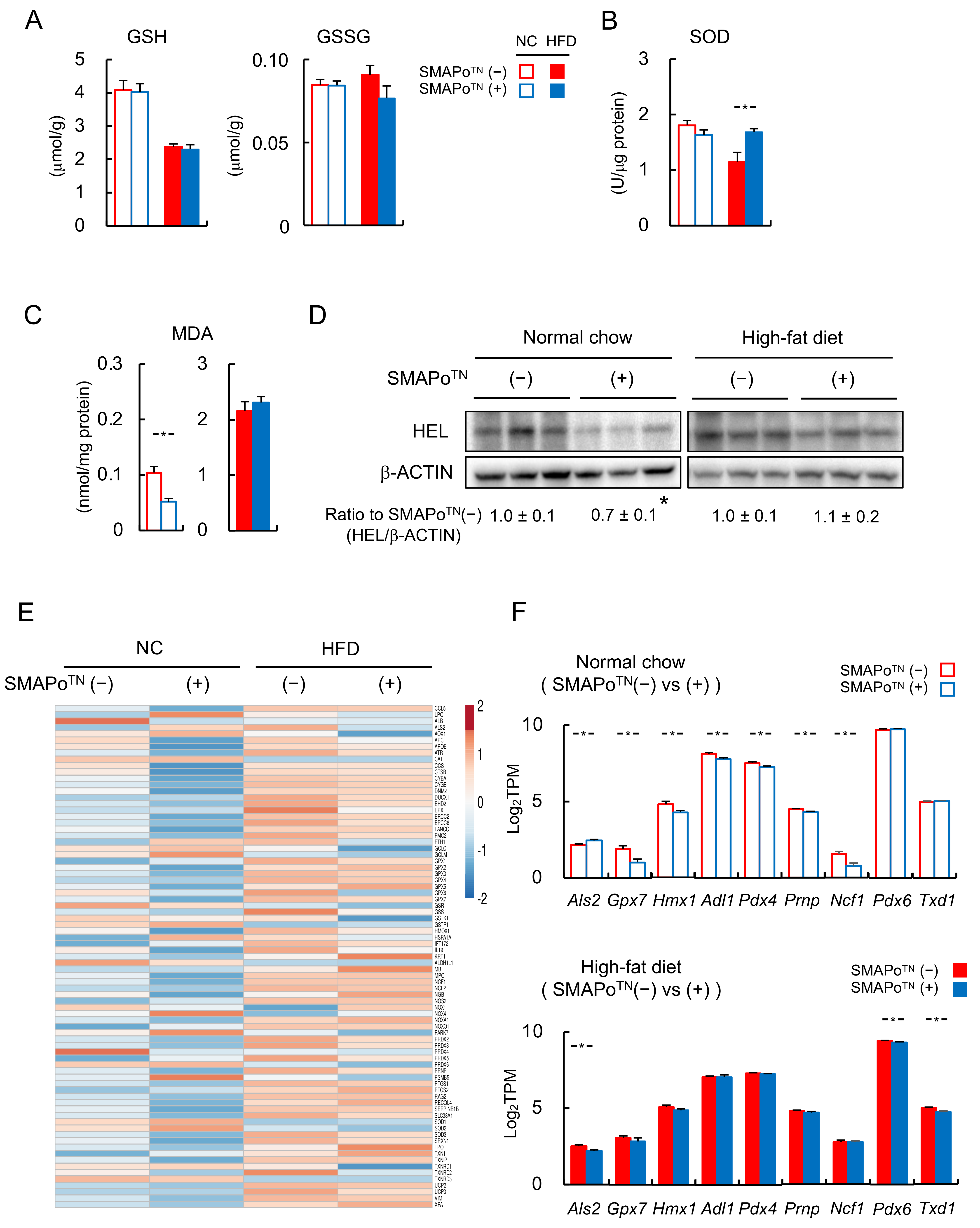 Antioxidants 11 01939 g002