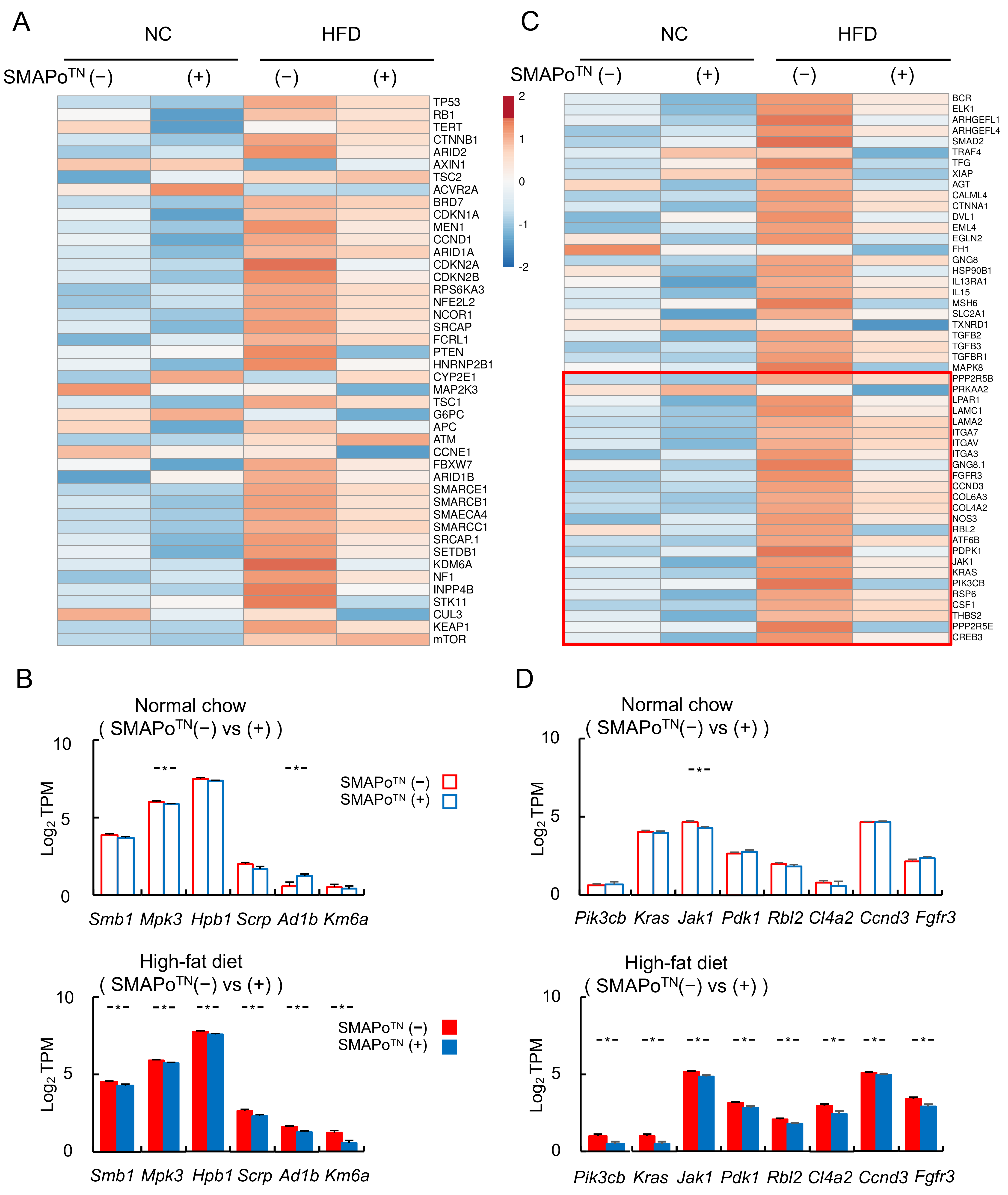 Antioxidants 11 01939 g005