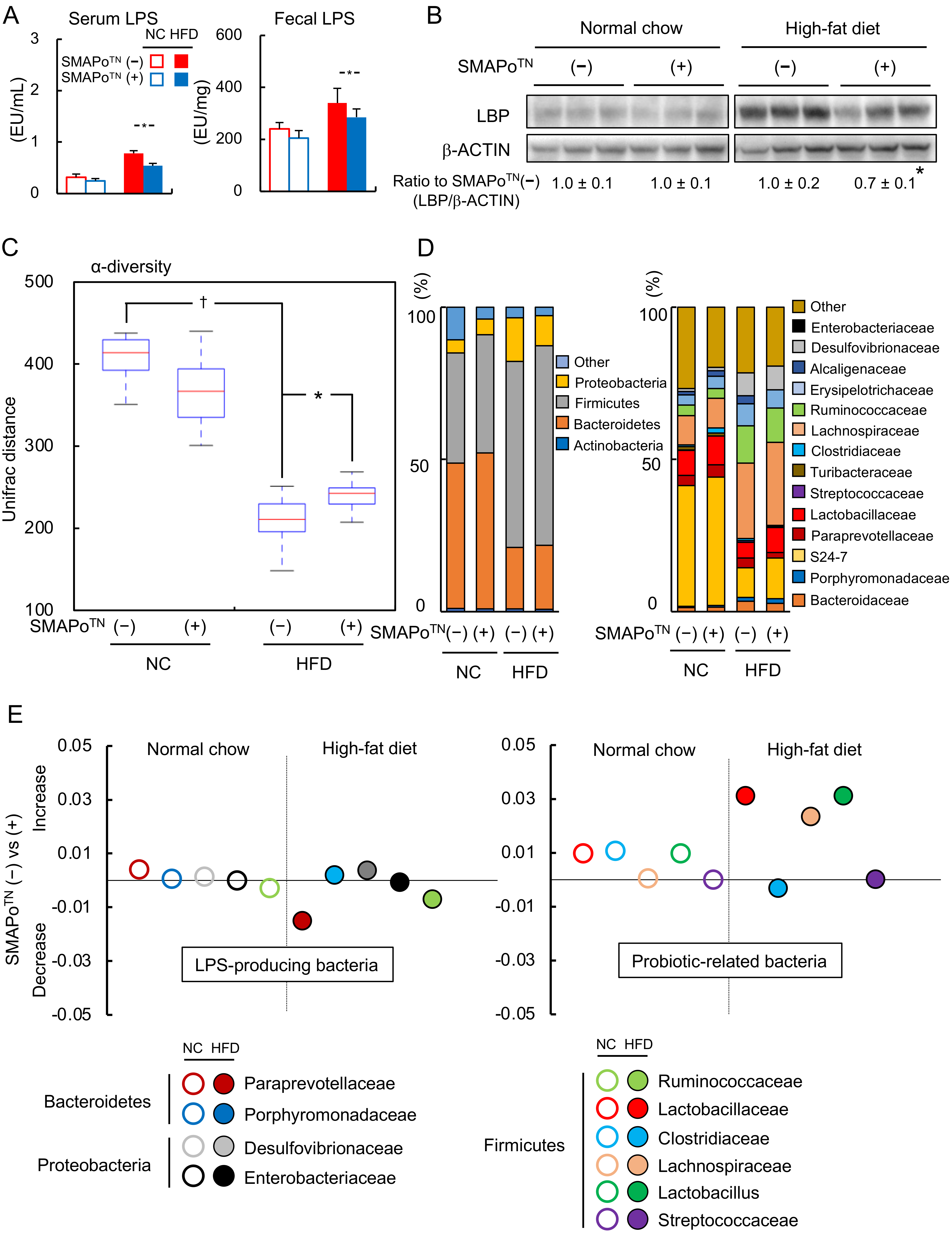 Antioxidants 11 01939 g006