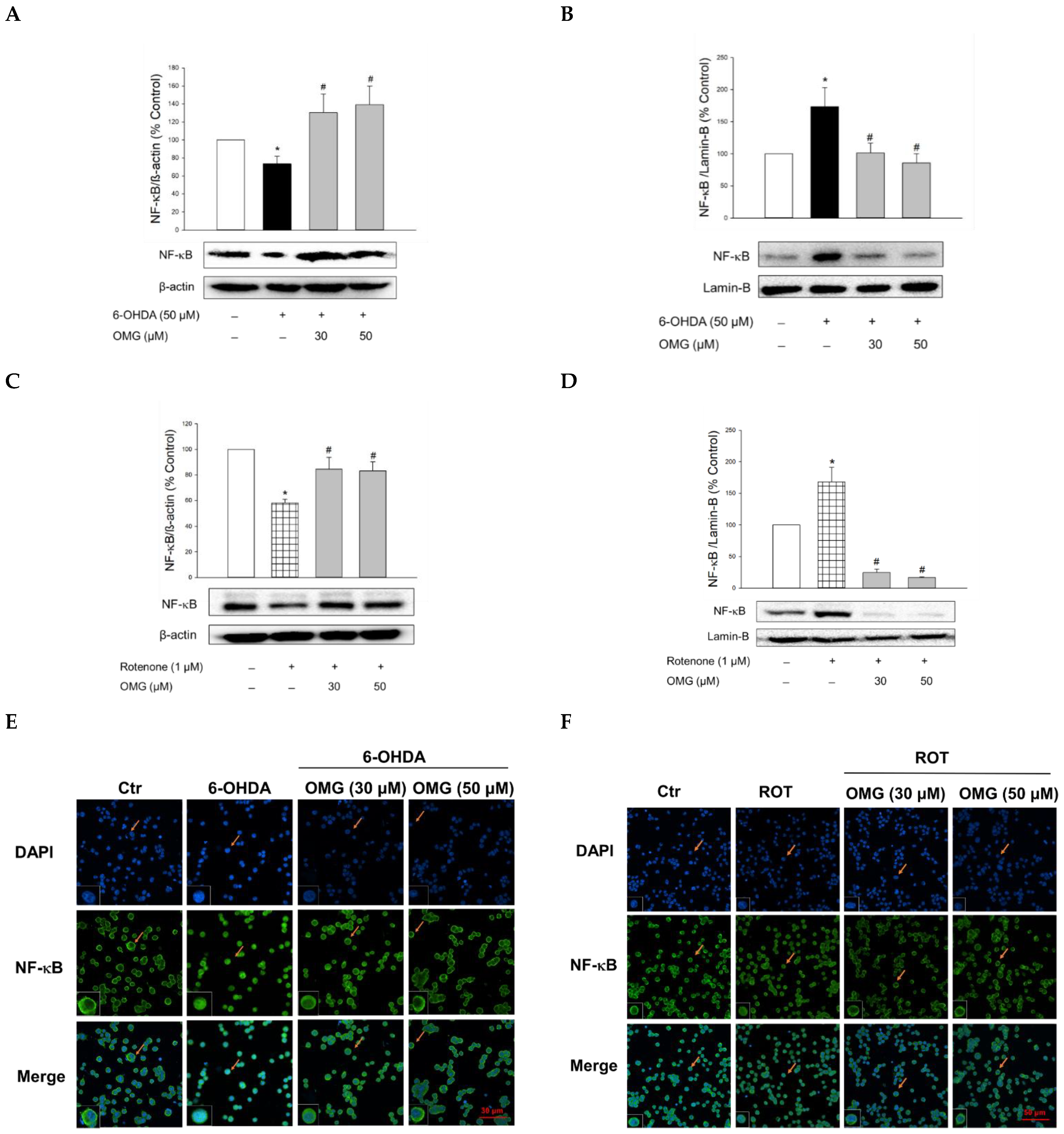Antioxidants 11 01940 g007