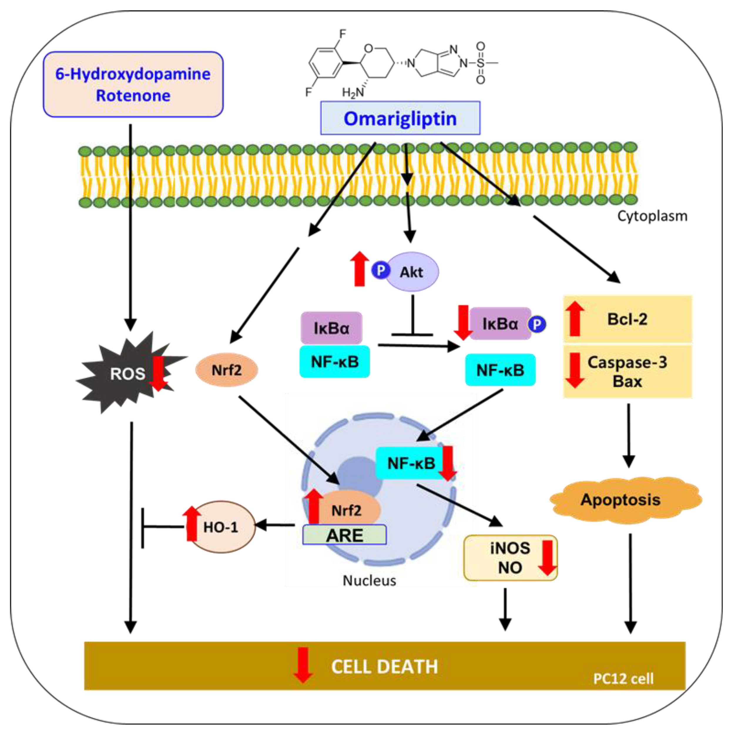 Antioxidants 11 01940 g010