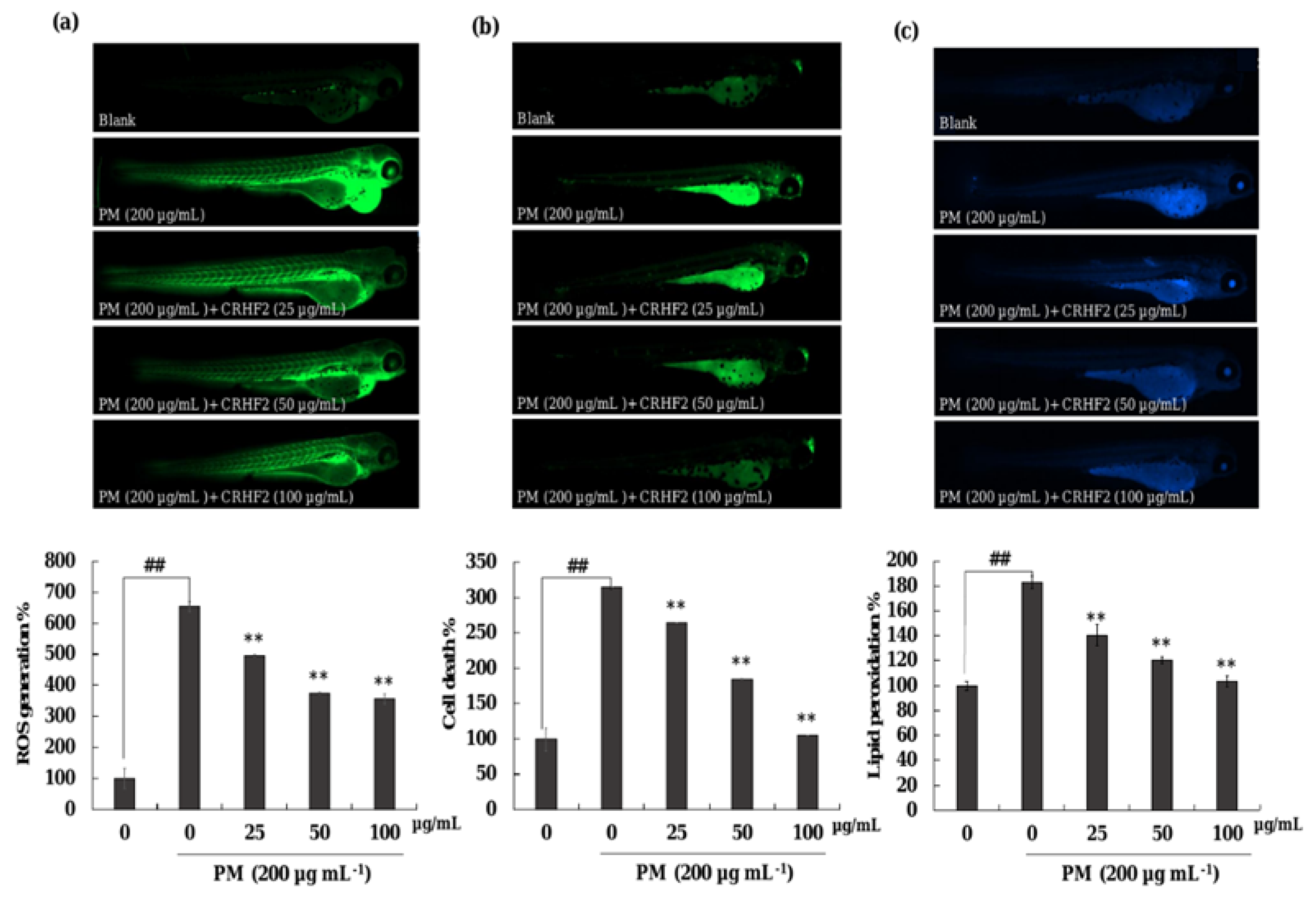 Antioxidants 11 01941 g007