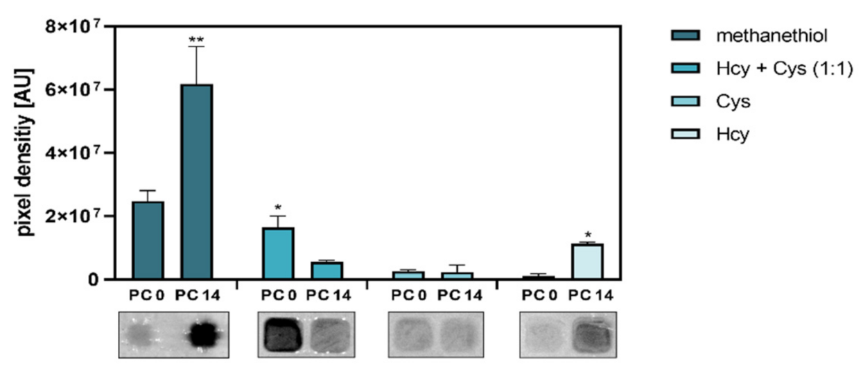 Antioxidants 11 01957 g005 Antioxidants 11 01957 g005