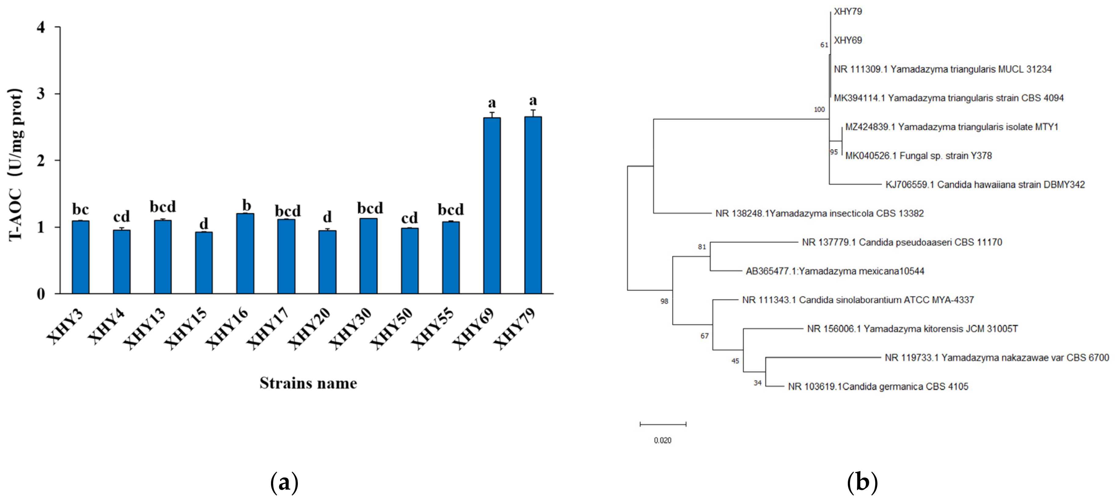 Antioxidants 11 01970 g001