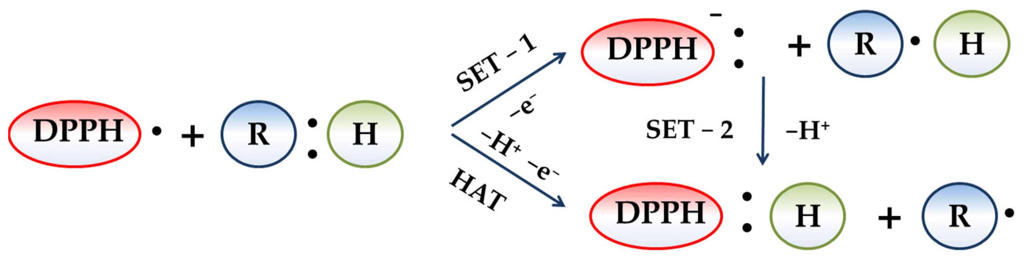 Antioxidants 11 01974 g001