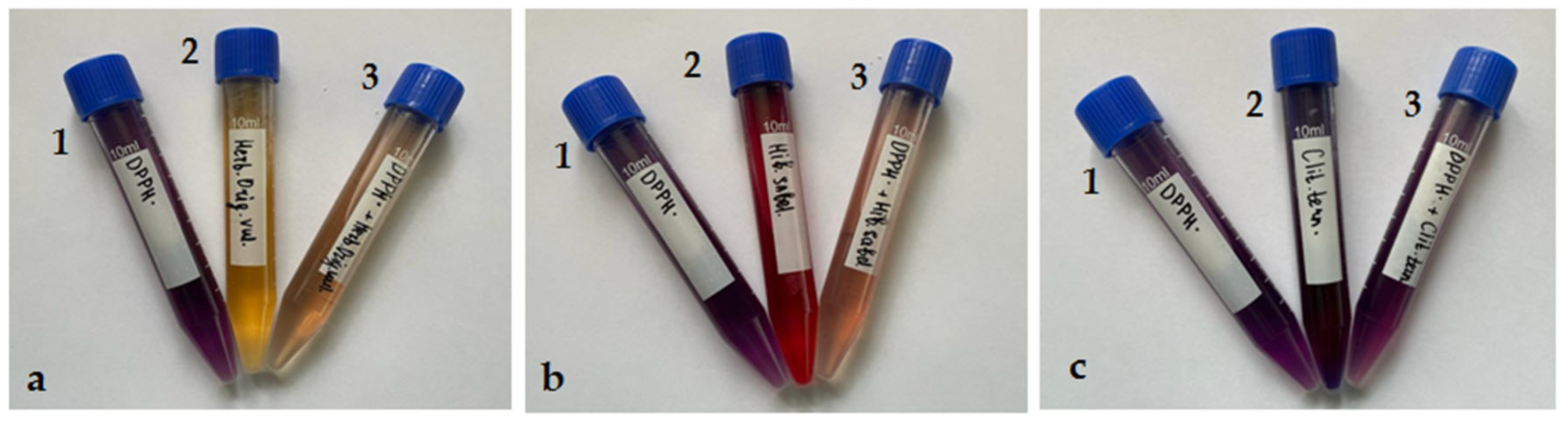 Antioxidants 11 01974 g008