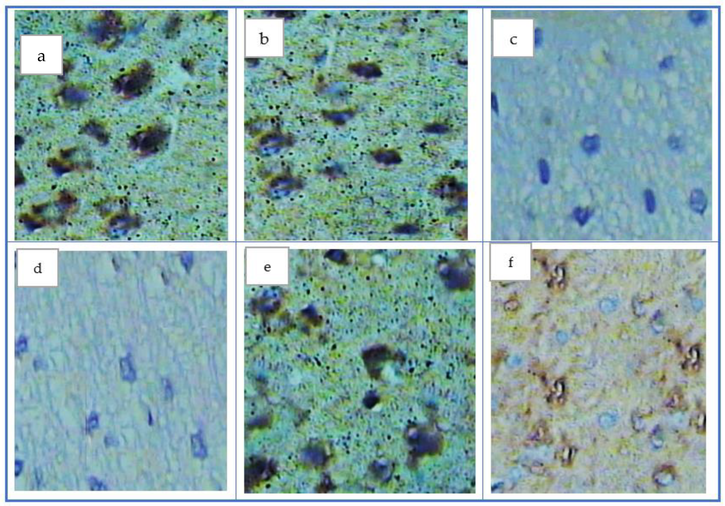 Antioxidants 11 01986 g003