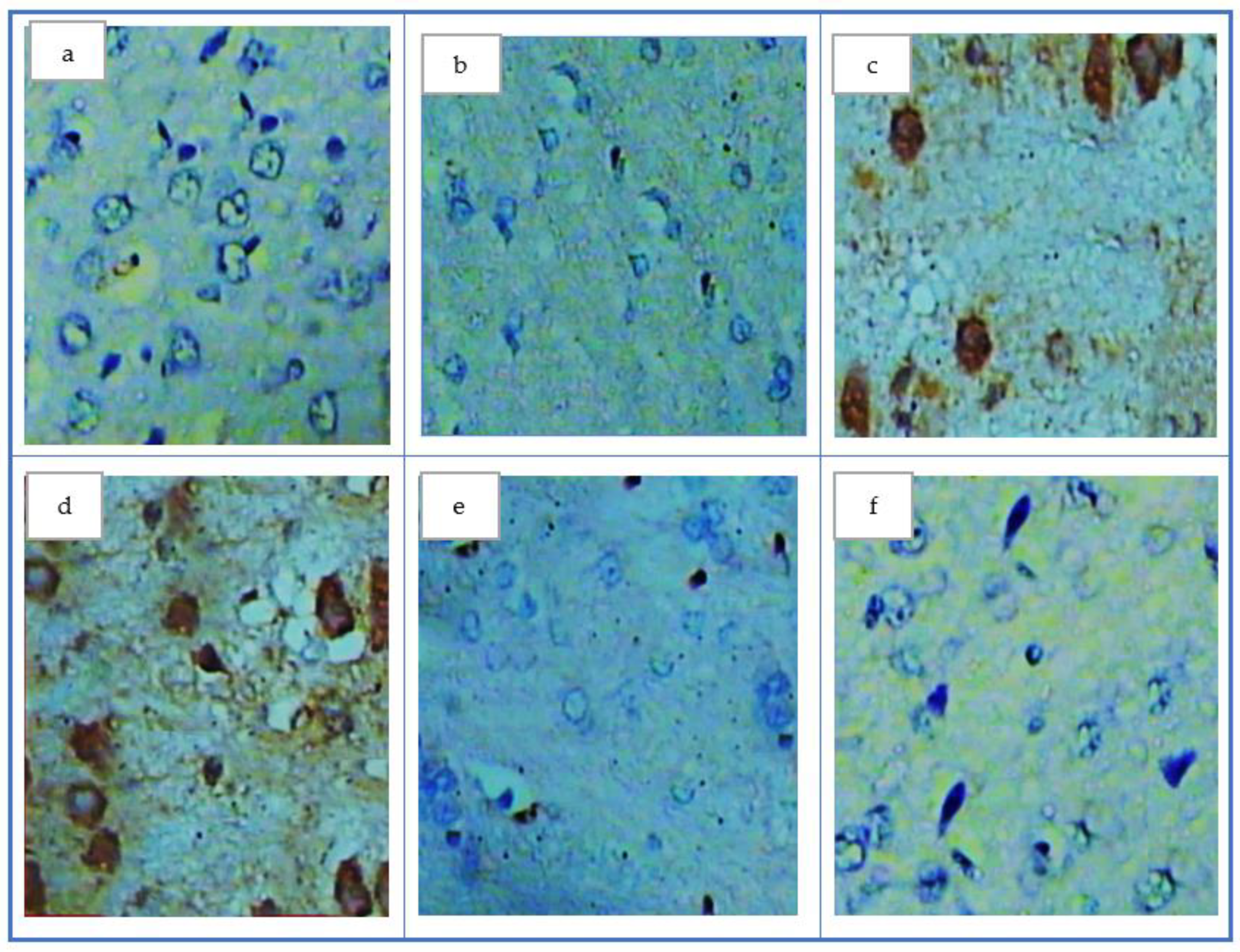 Antioxidants 11 01986 g004