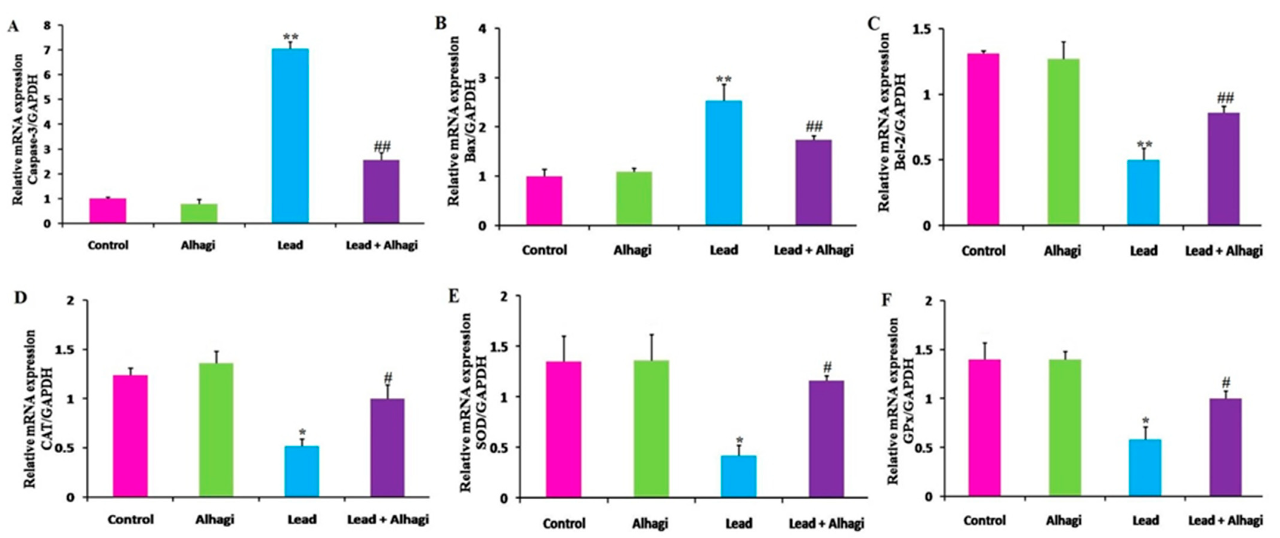 Antioxidants 11 01992 g004