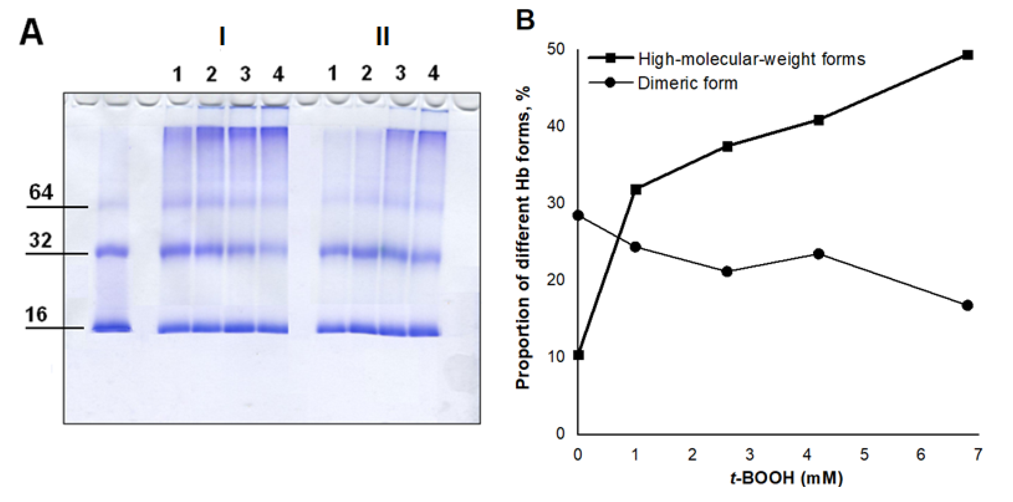 Antioxidants 11 02007 g006a