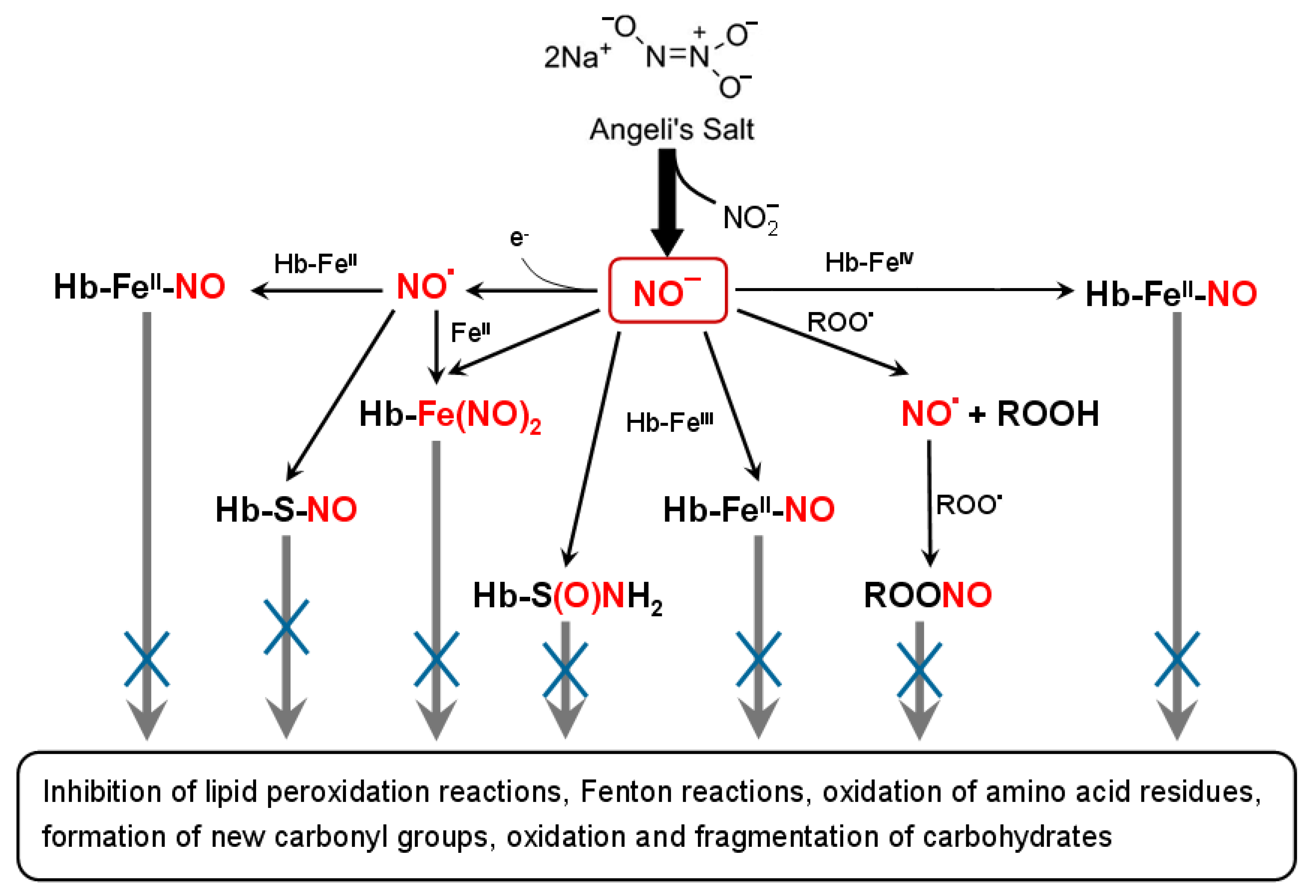 Antioxidants 11 02007 g011