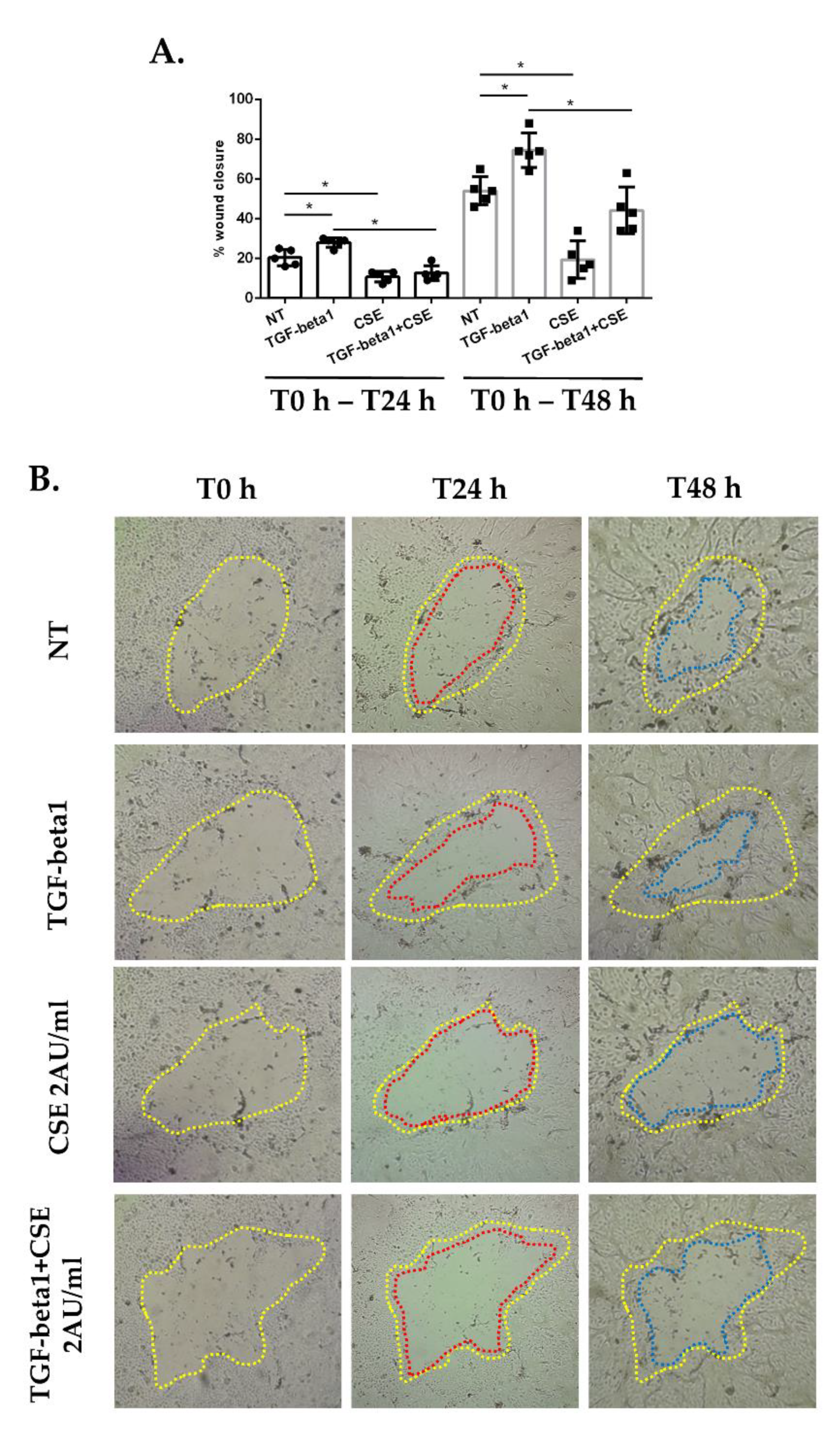 Antioxidants 11 02018 g001 Antioxidants 11 02018 g001
