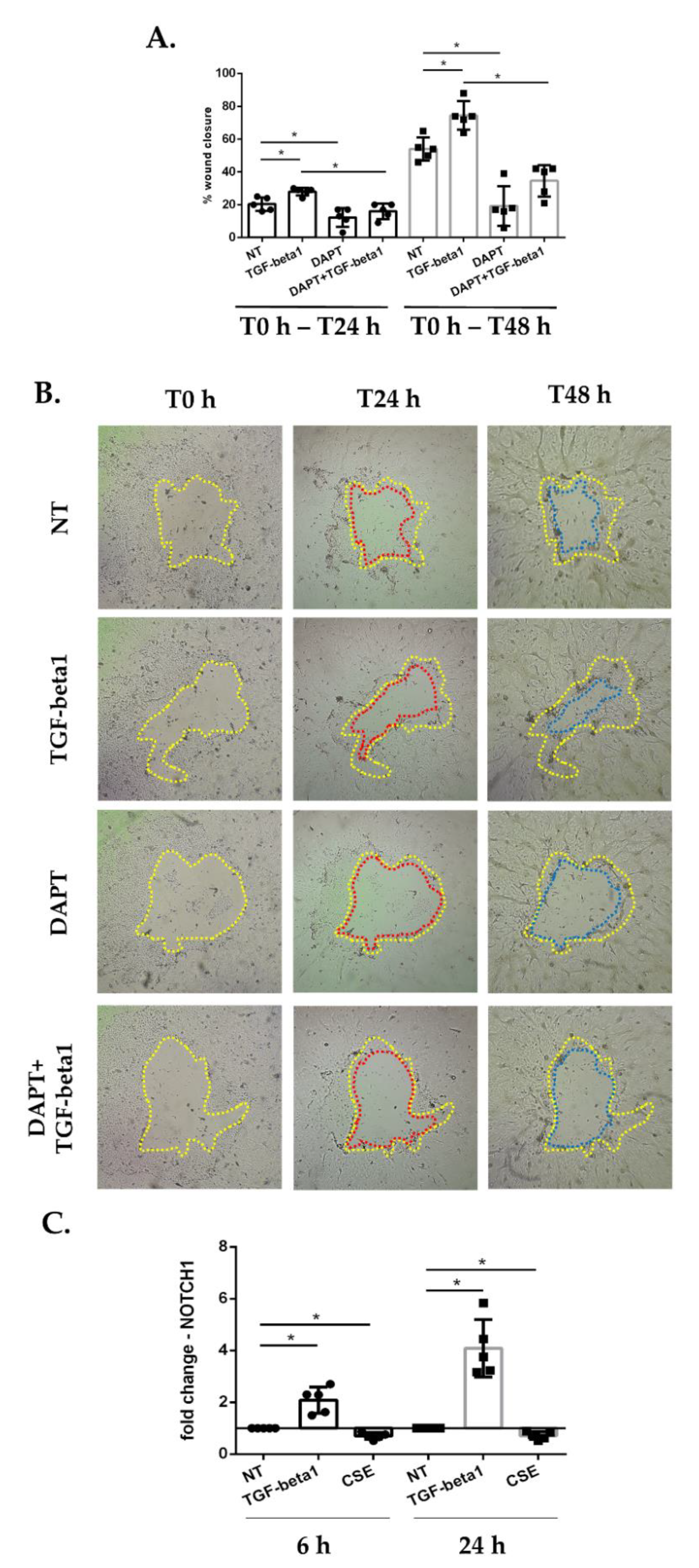 Antioxidants 11 02018 g003 Antioxidants 11 02018 g003