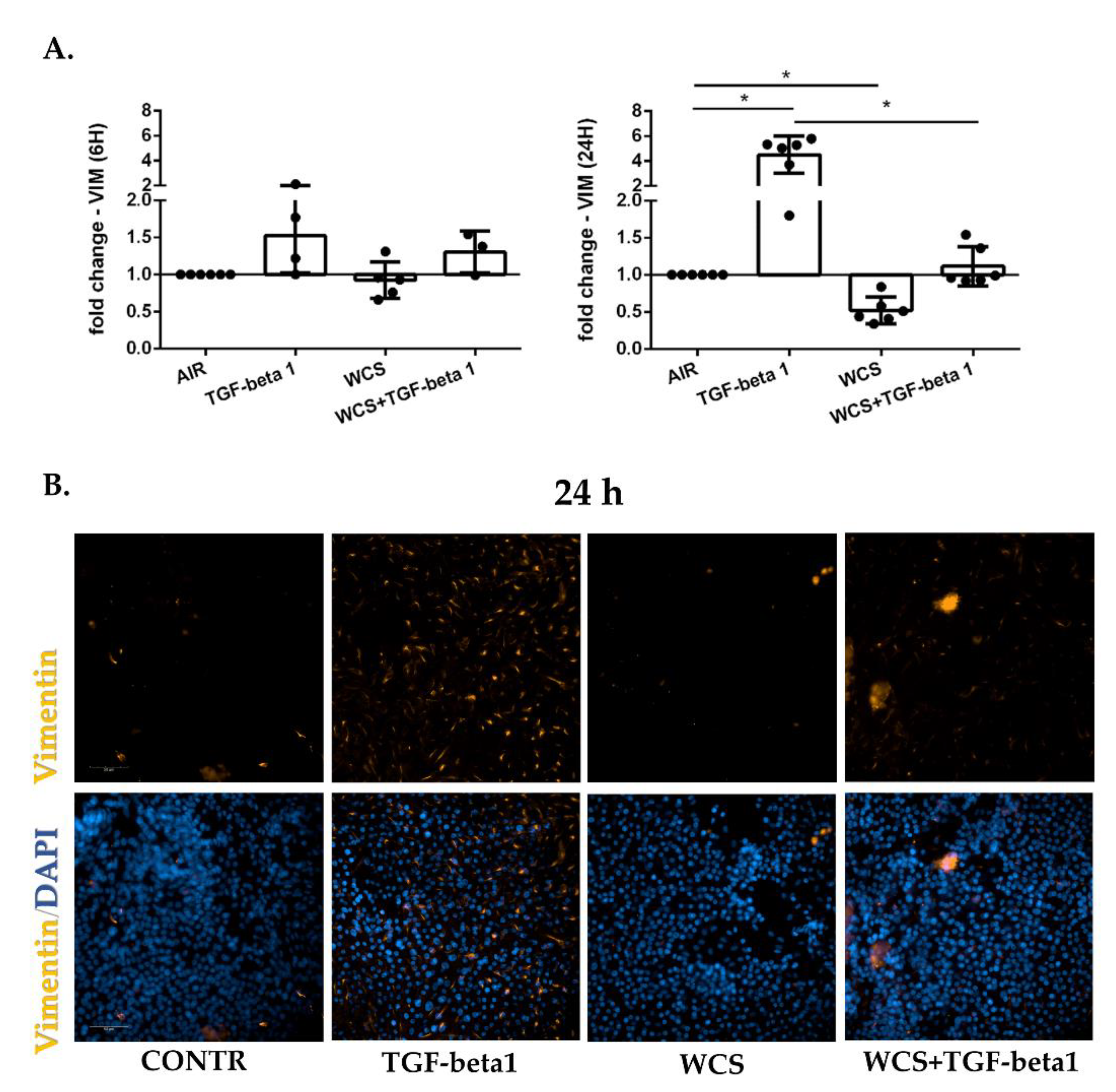 Antioxidants 11 02018 g005 Antioxidants 11 02018 g005