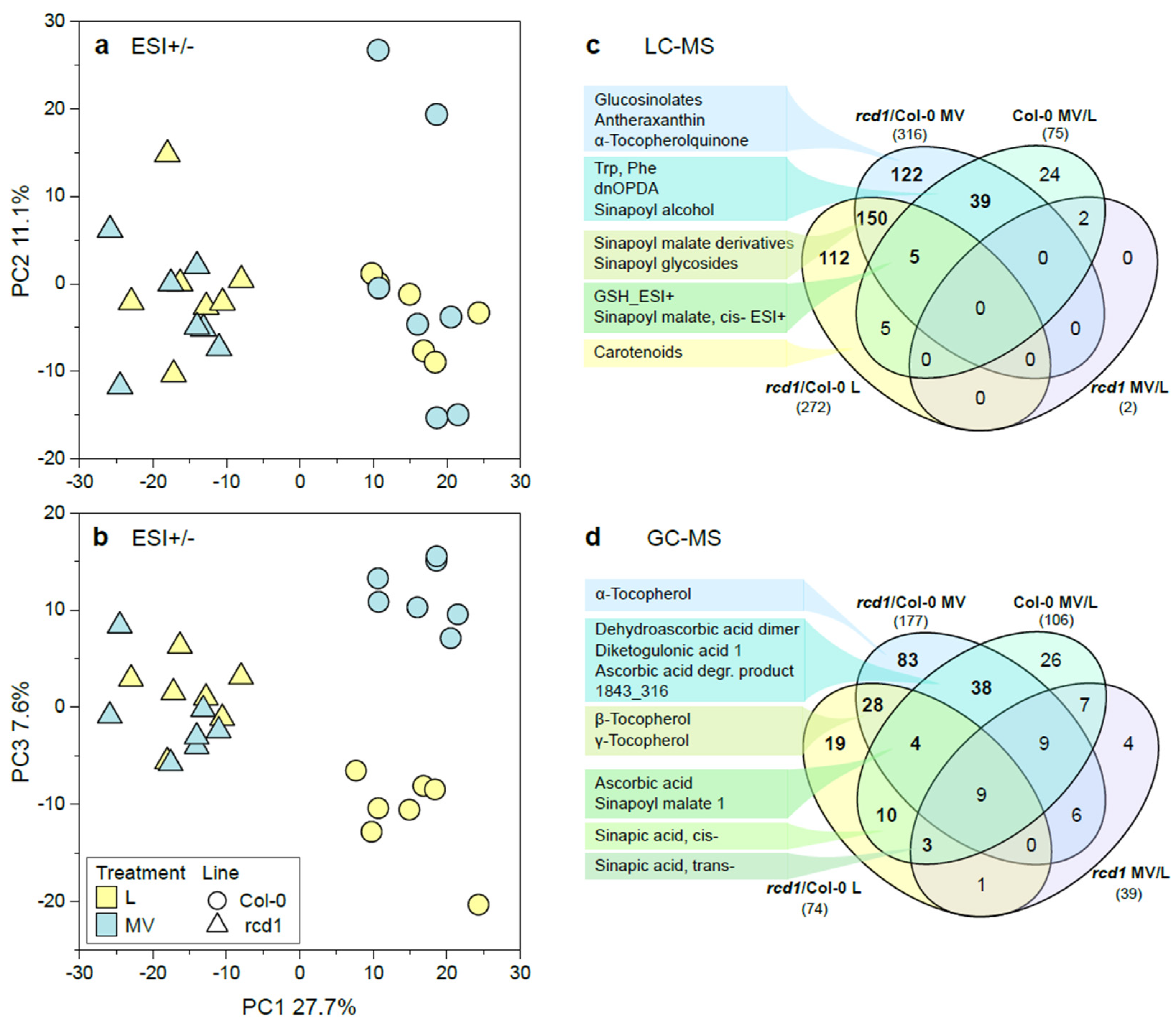 Antioxidants 11 02034 g001 Antioxidants 11 02034 g001