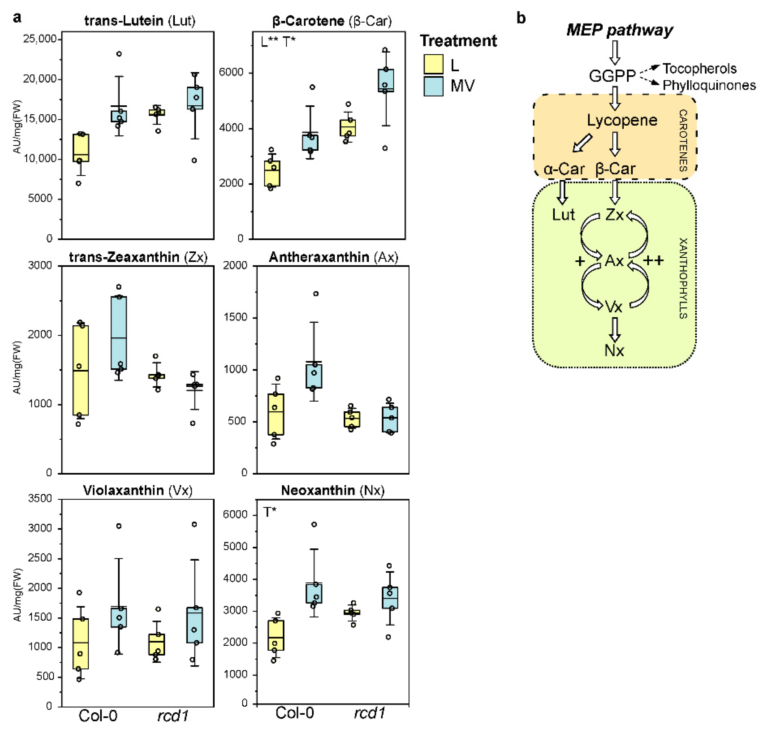 Antioxidants 11 02034 g003 Antioxidants 11 02034 g003
