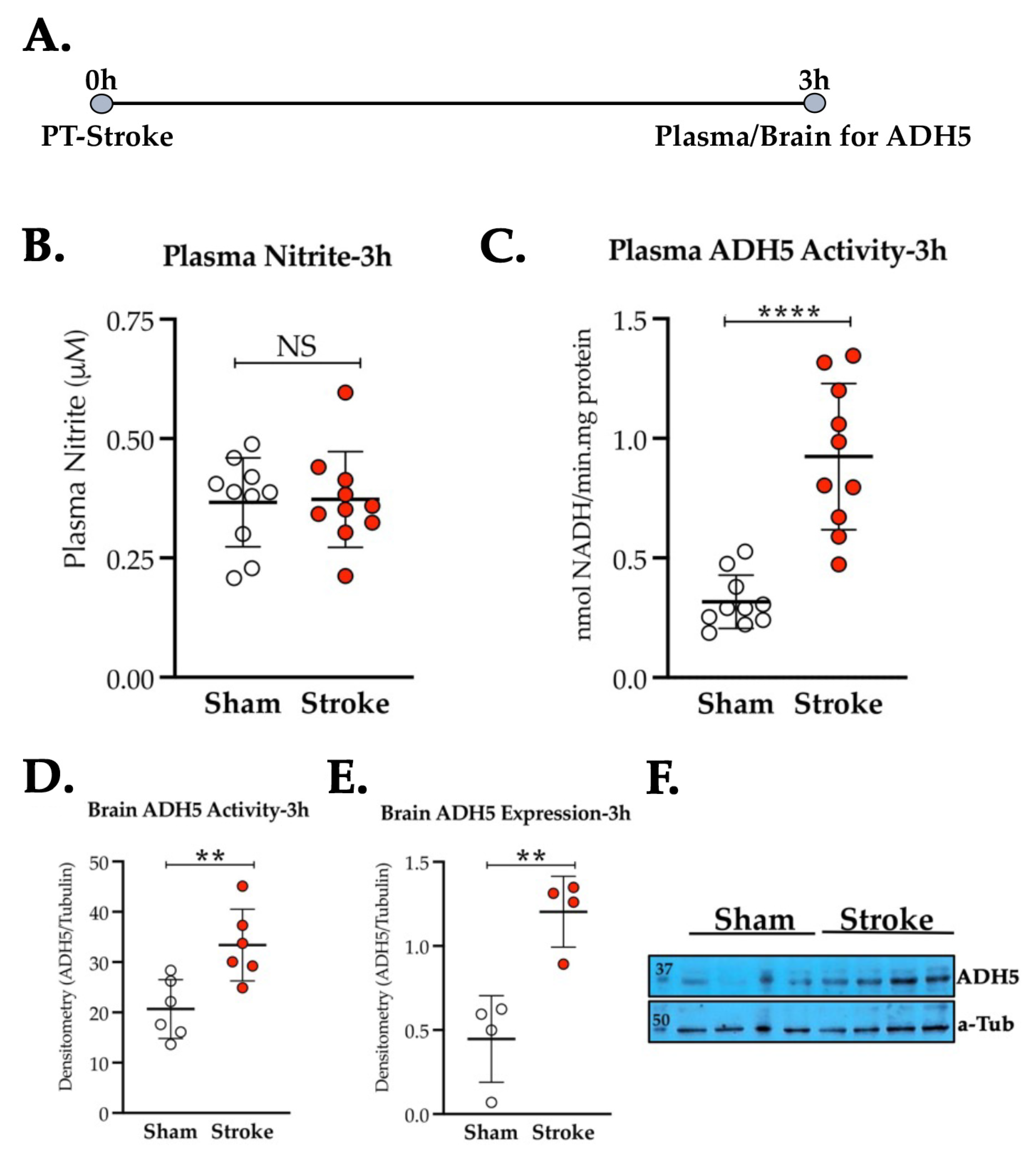 Antioxidants 11 02051 g002