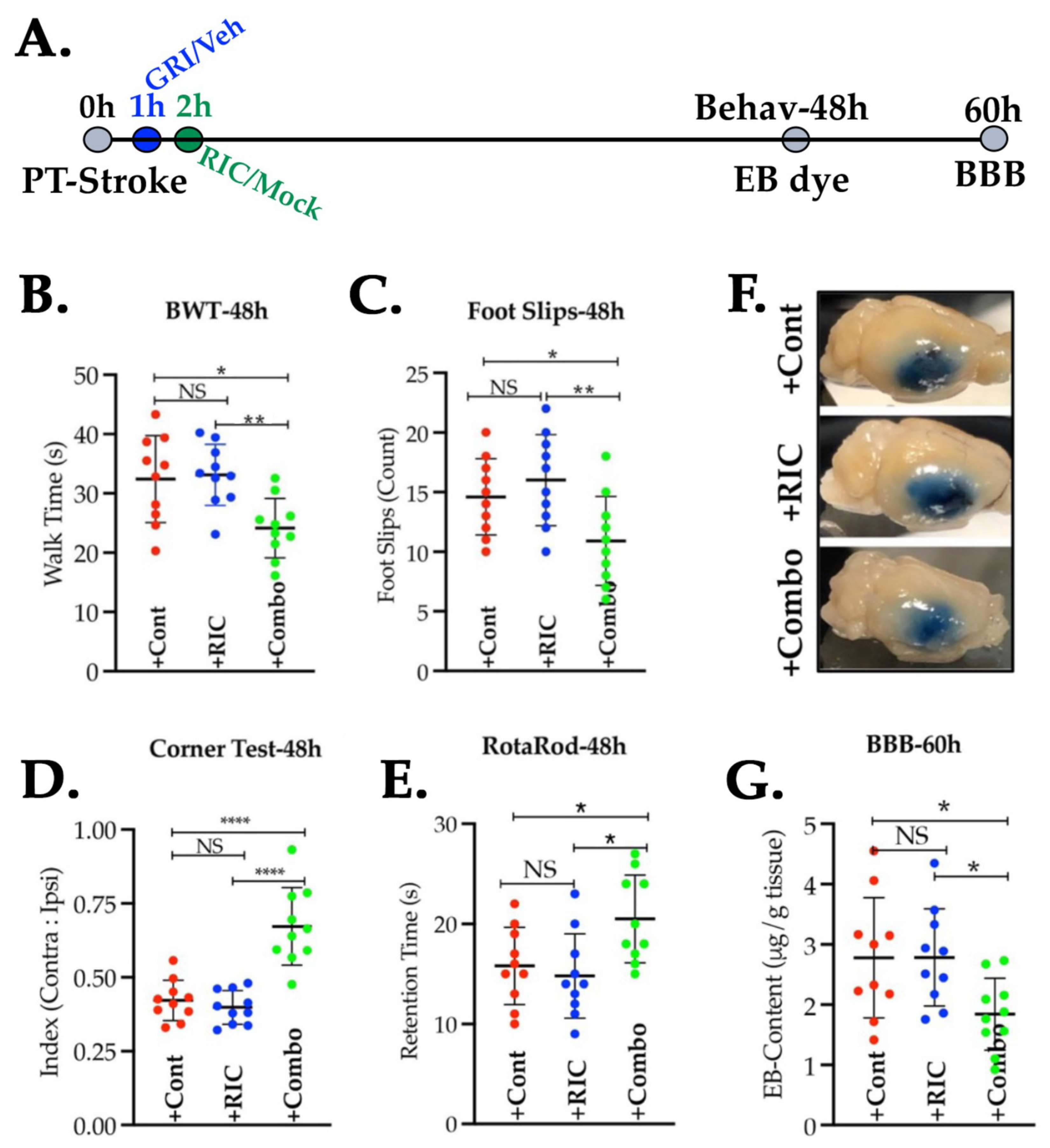 Antioxidants 11 02051 g005