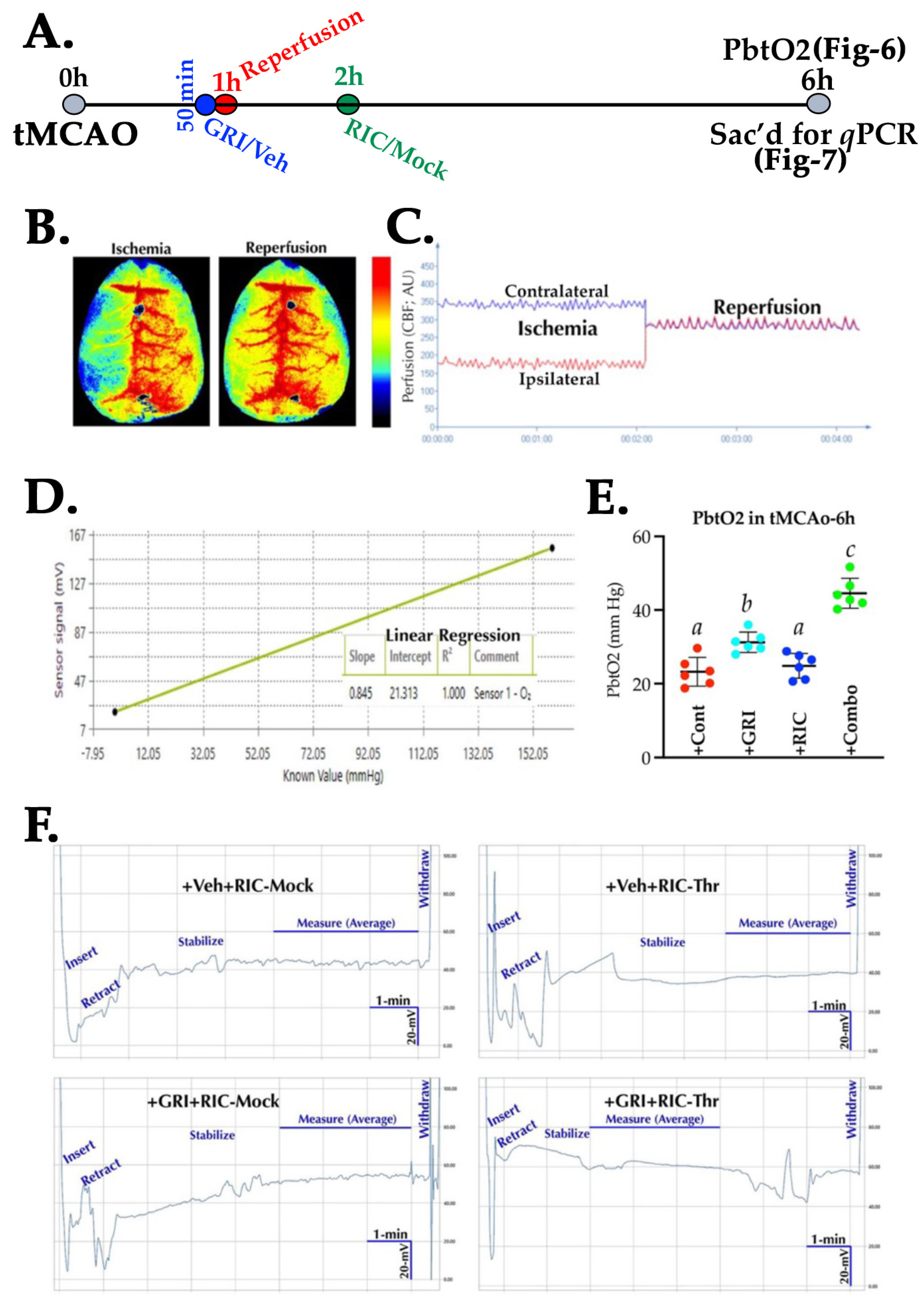 Antioxidants 11 02051 g006