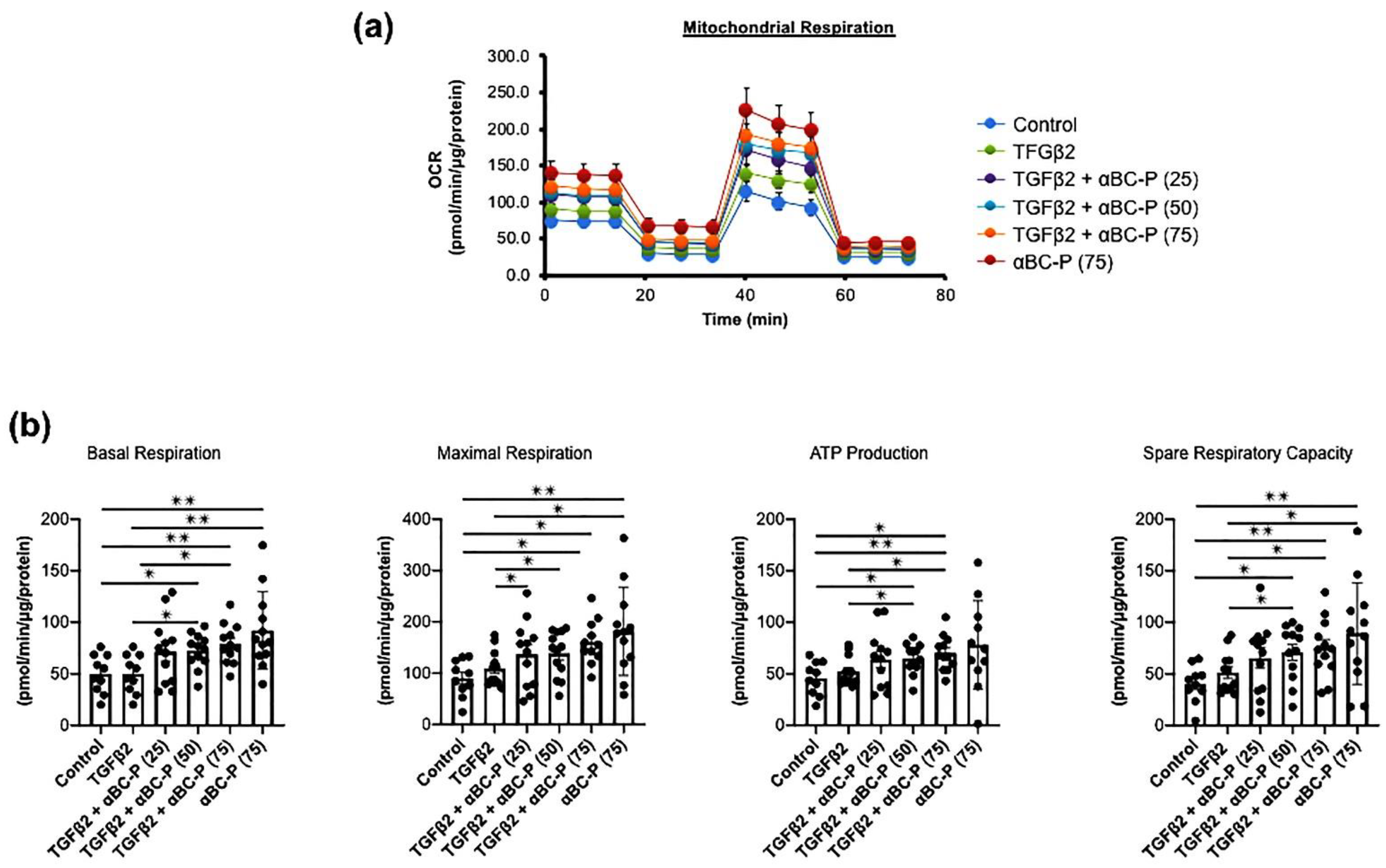 Antioxidants 11 02080 g005 Antioxidants 11 02080 g005