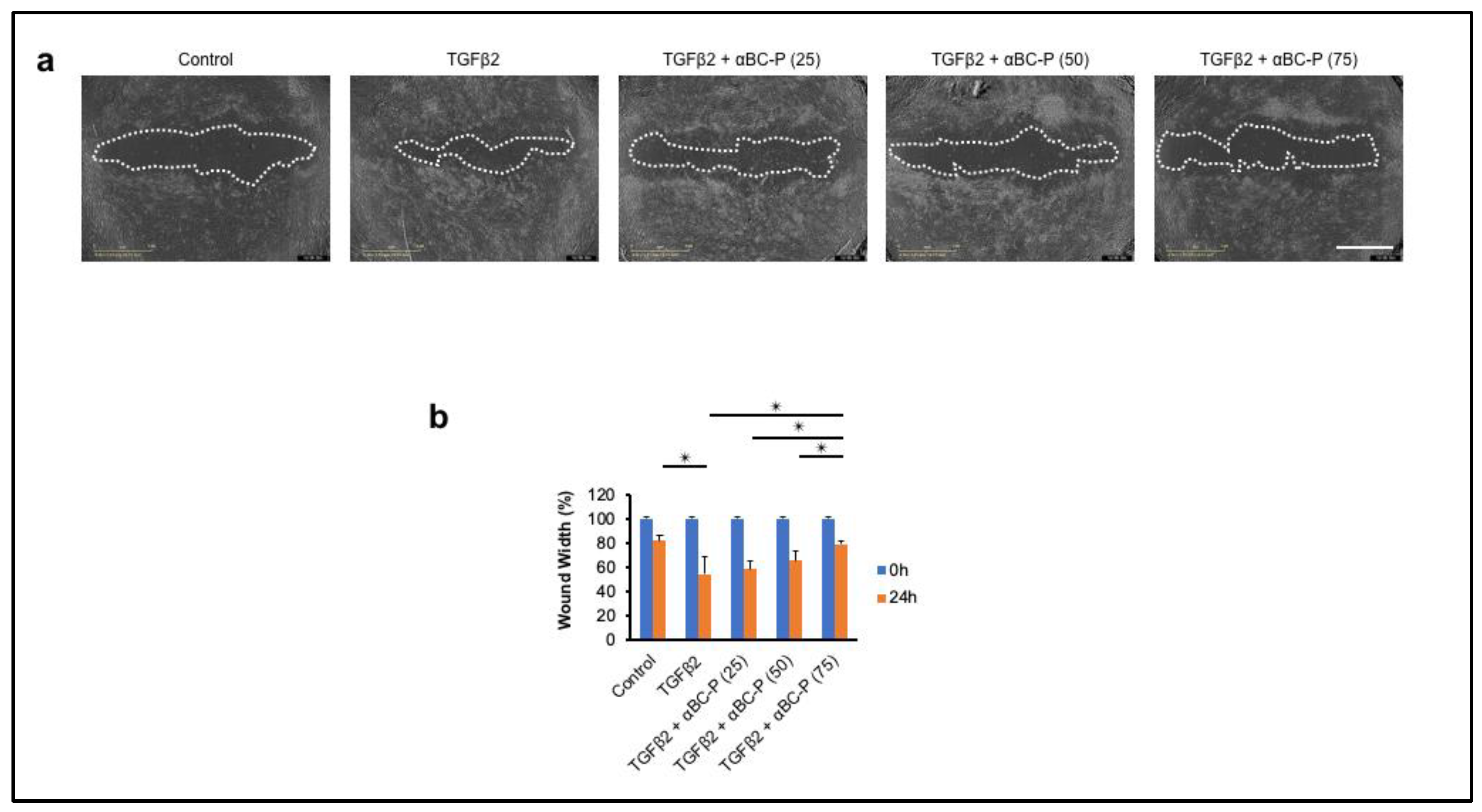 Antioxidants 11 02080 g007 Antioxidants 11 02080 g007