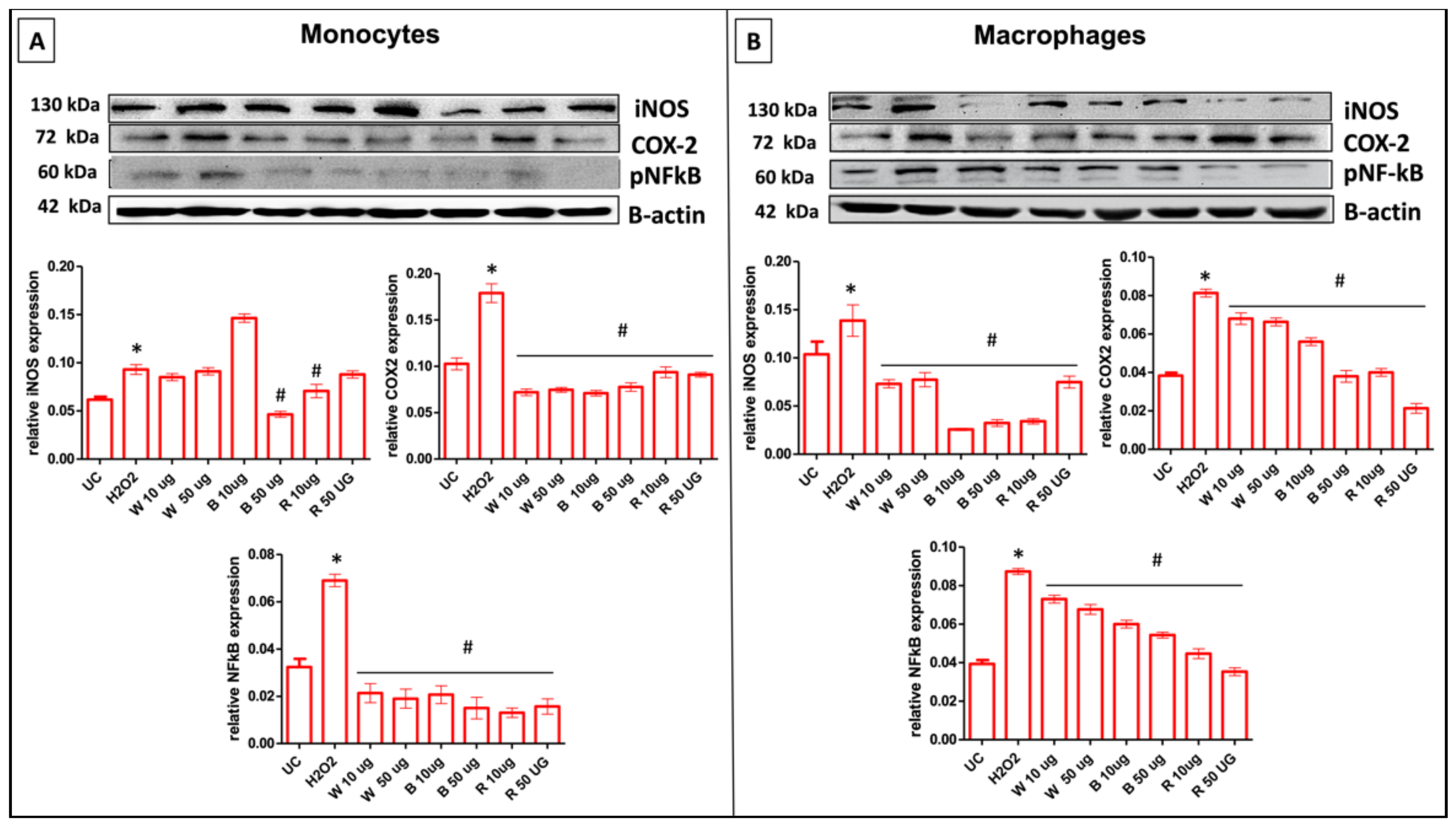 Antioxidants 11 02088 g004