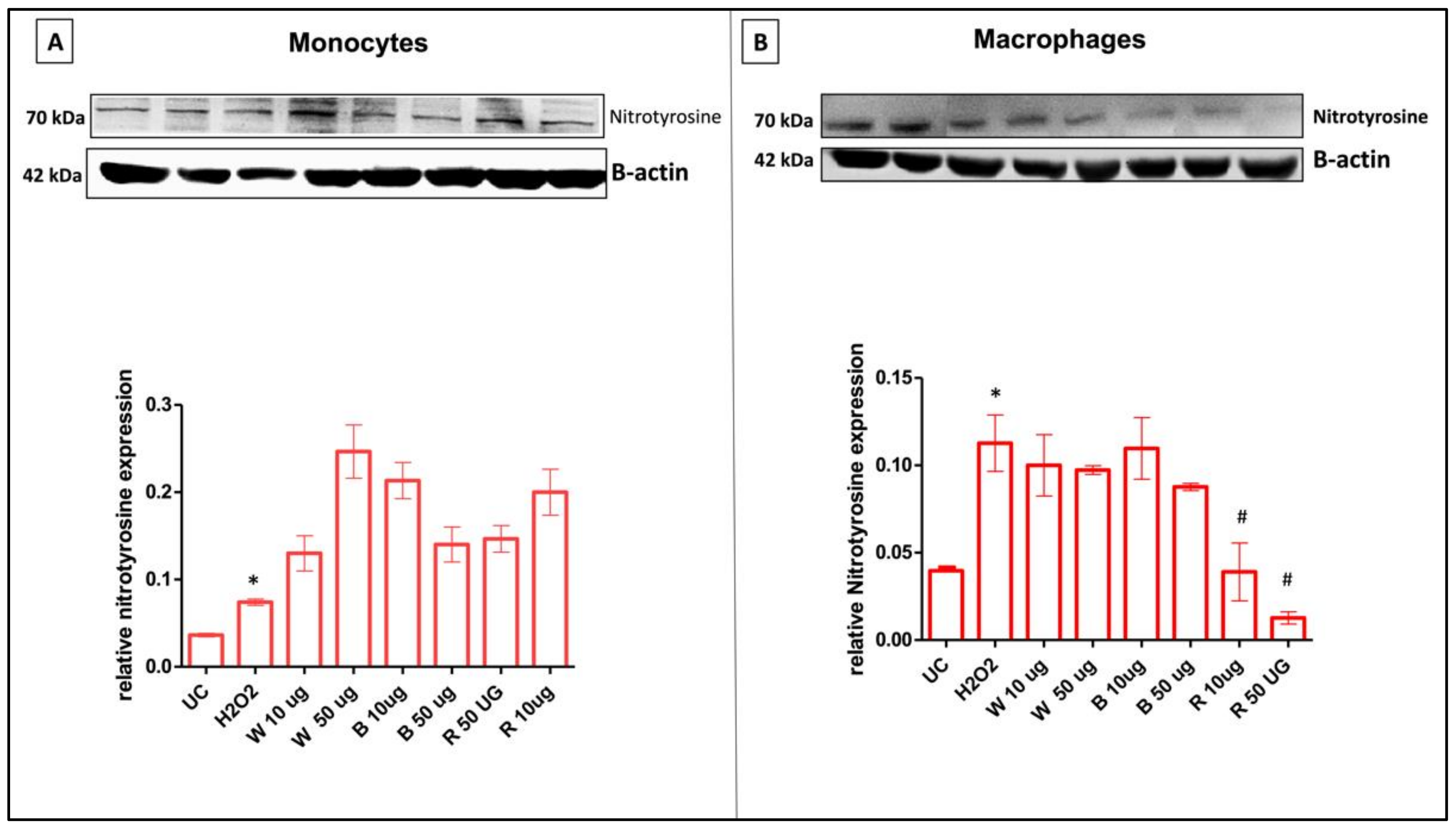 Antioxidants 11 02088 g006