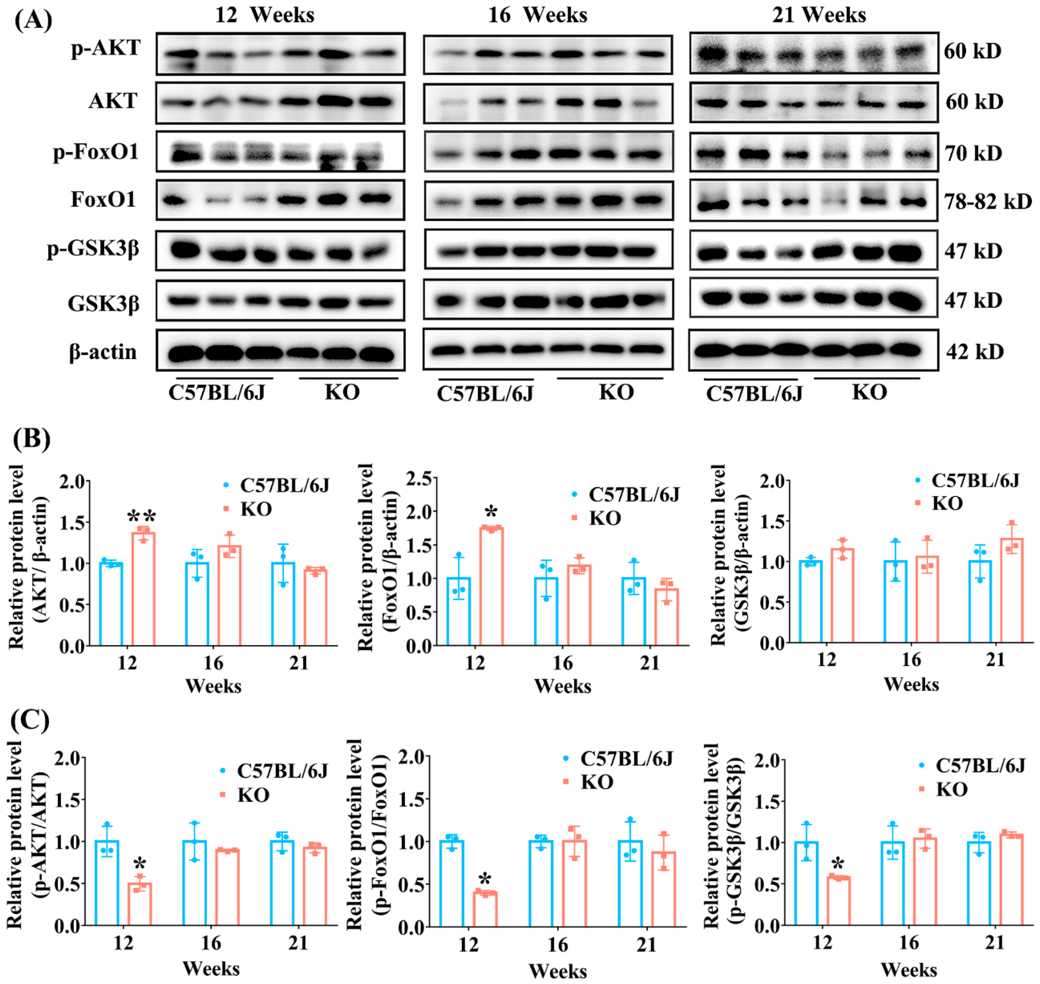 Antioxidants 11 02105 g006 Antioxidants 11 02105 g006
