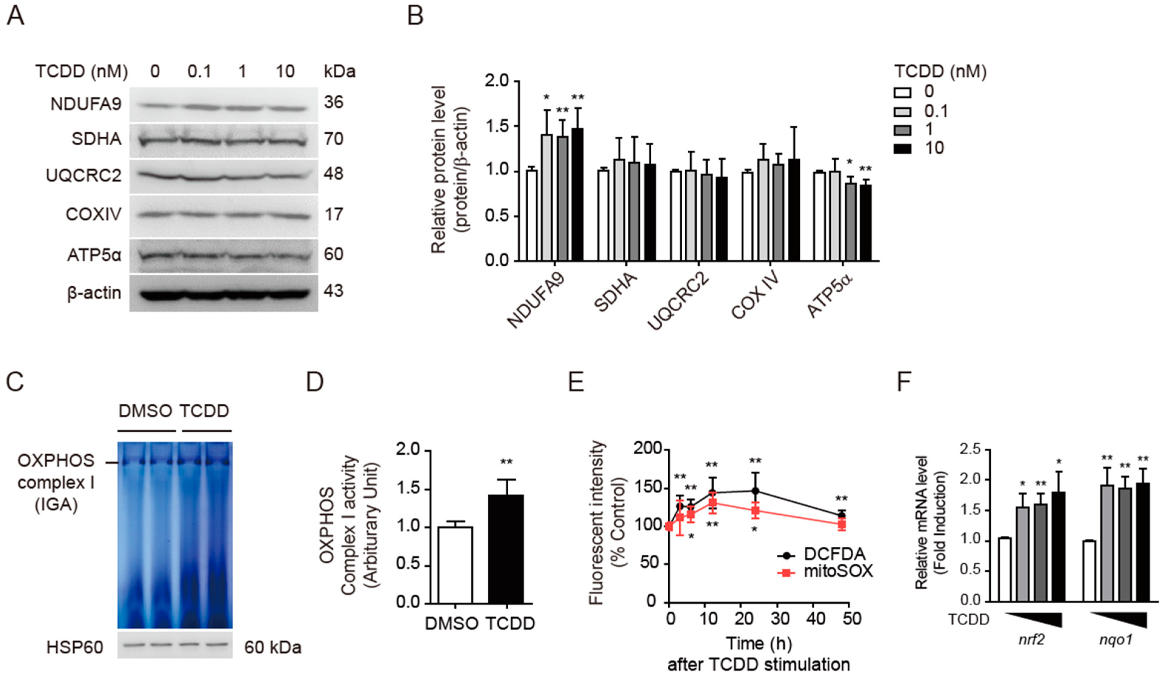 Antioxidants 11 02109 g004