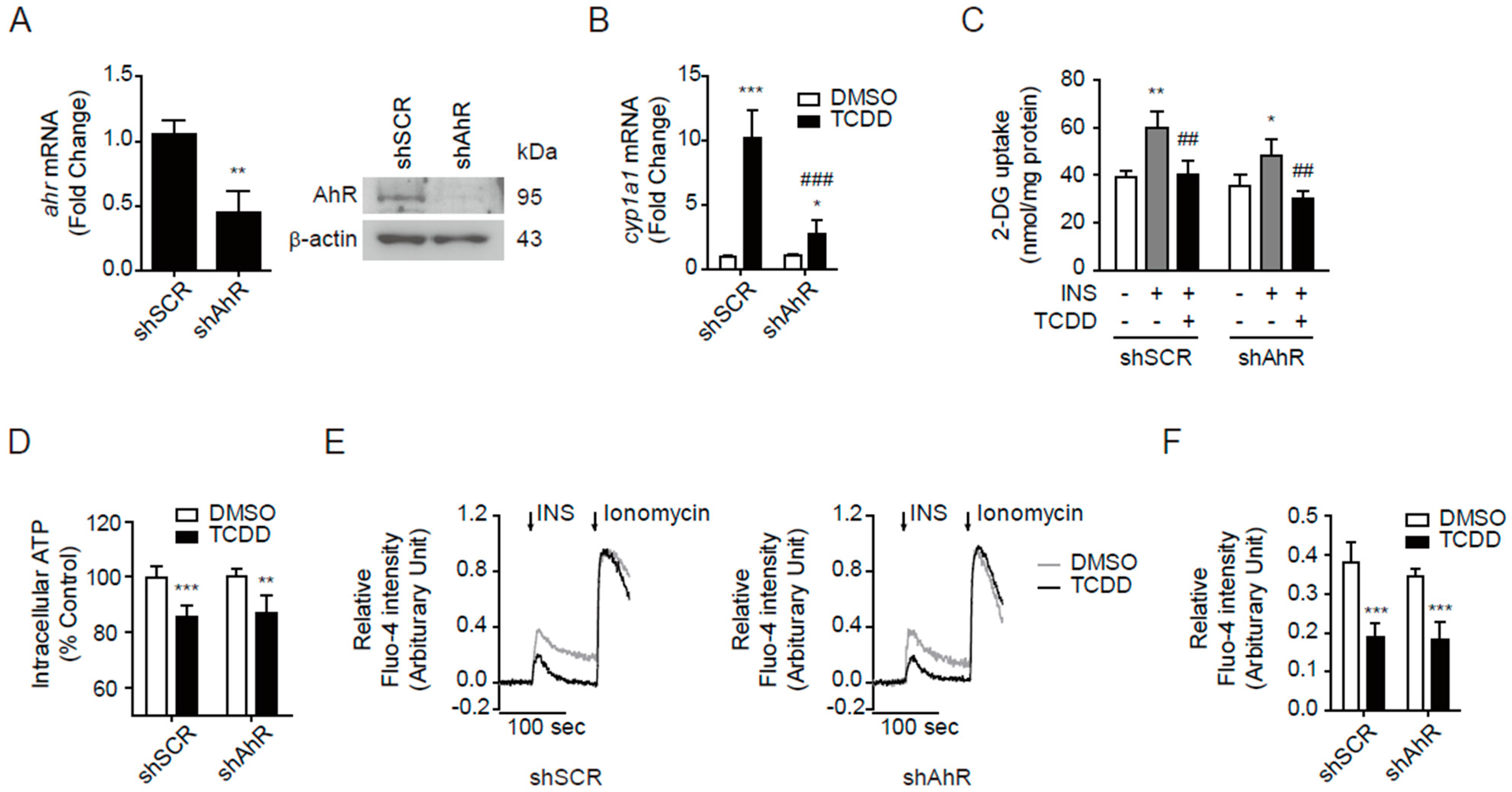 Antioxidants 11 02109 g006