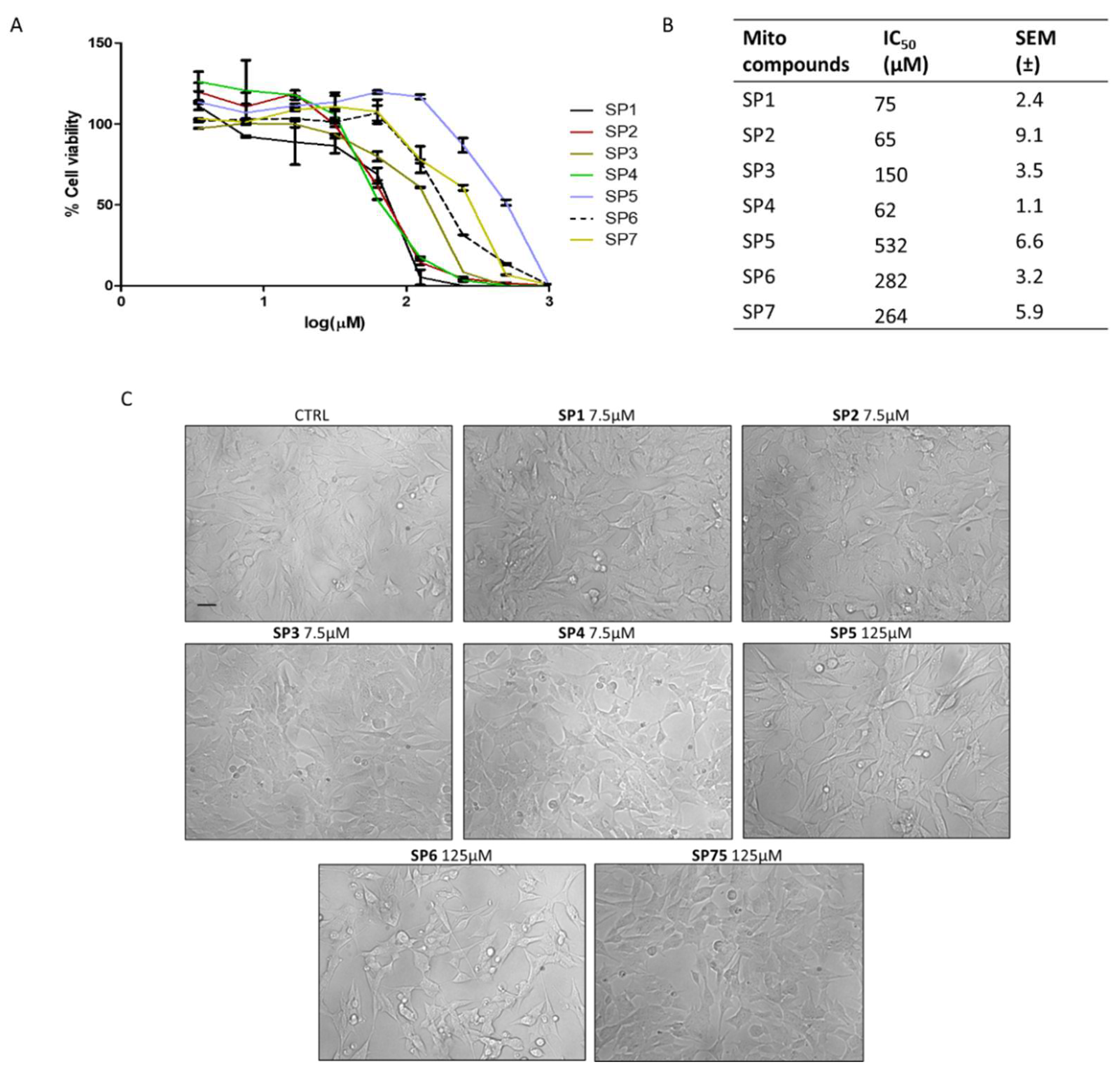 Antioxidants 11 02160 g002 Antioxidants 11 02160 g002