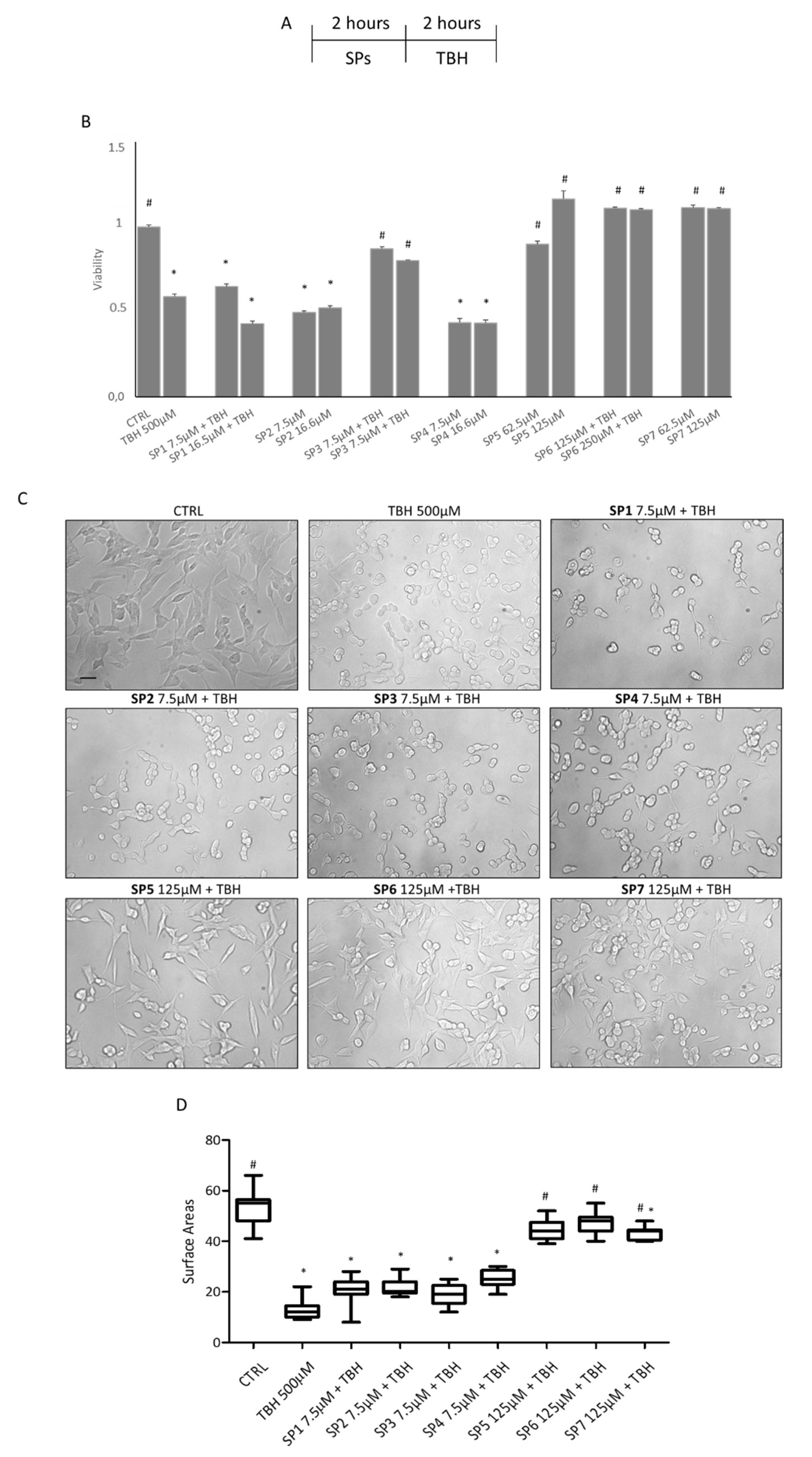 Antioxidants 11 02160 g003 Antioxidants 11 02160 g003