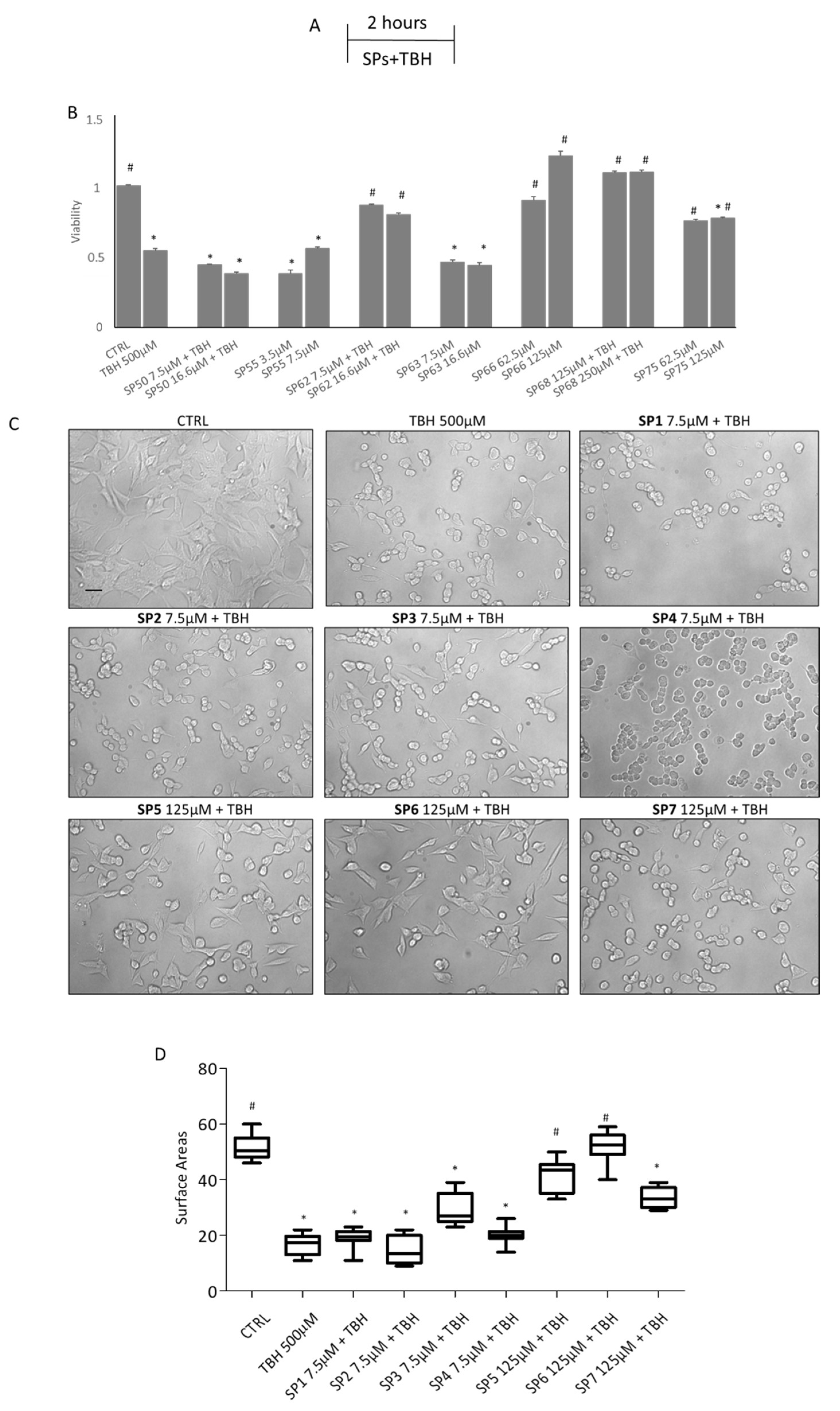 Antioxidants 11 02160 g004 Antioxidants 11 02160 g004