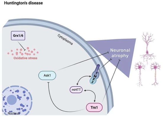 Antioxidants | Free Full-Text | The Role of the Thioredoxin System in ...