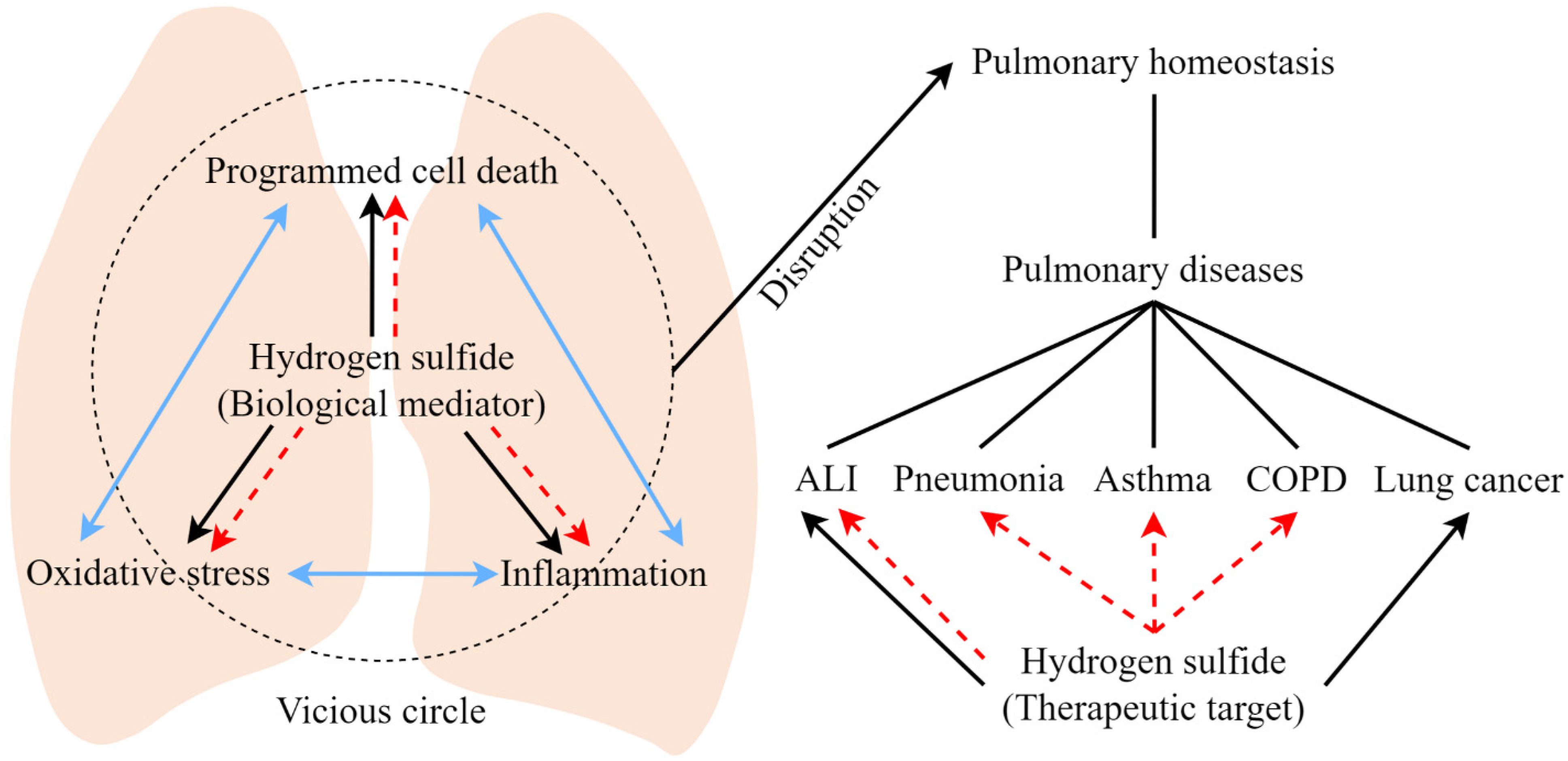 Antioxidants 11 02162 g003
