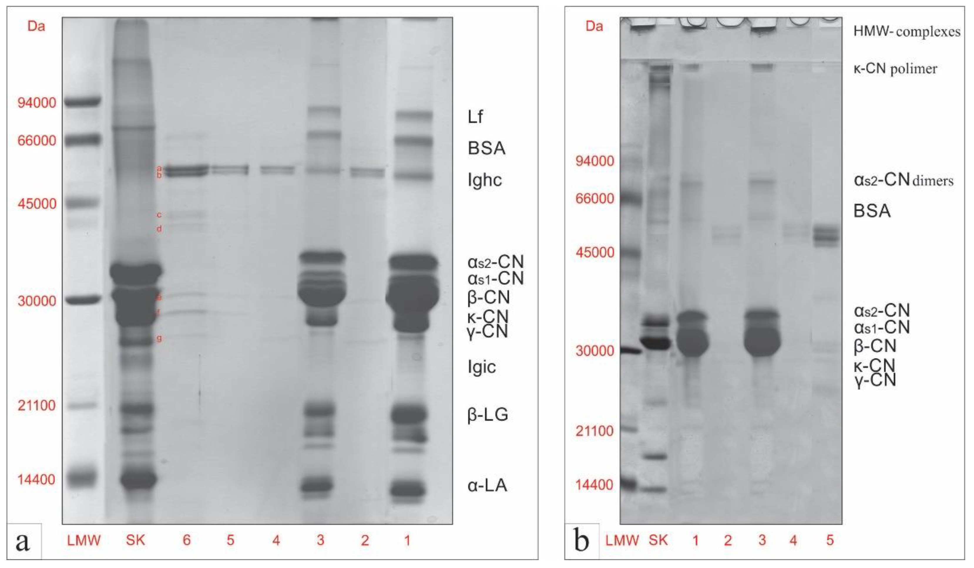 Antioxidants 11 02164 g001