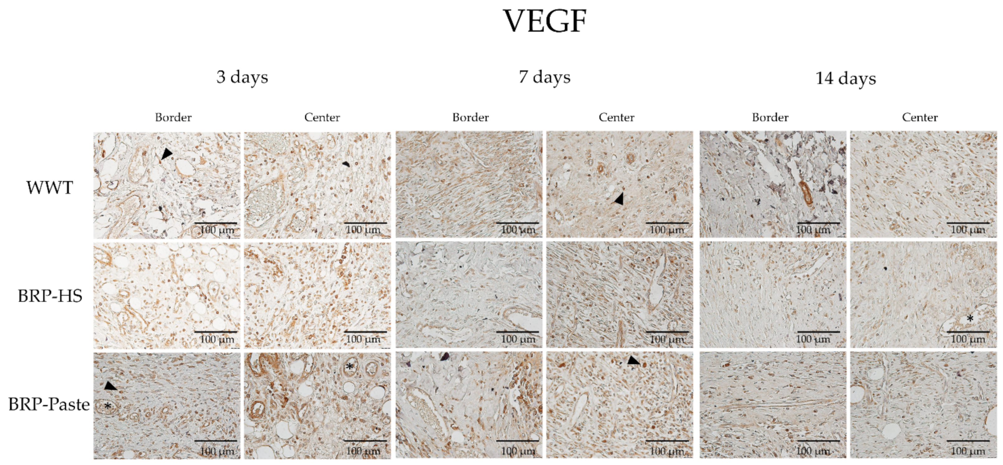 Antioxidants 11 02188 g011