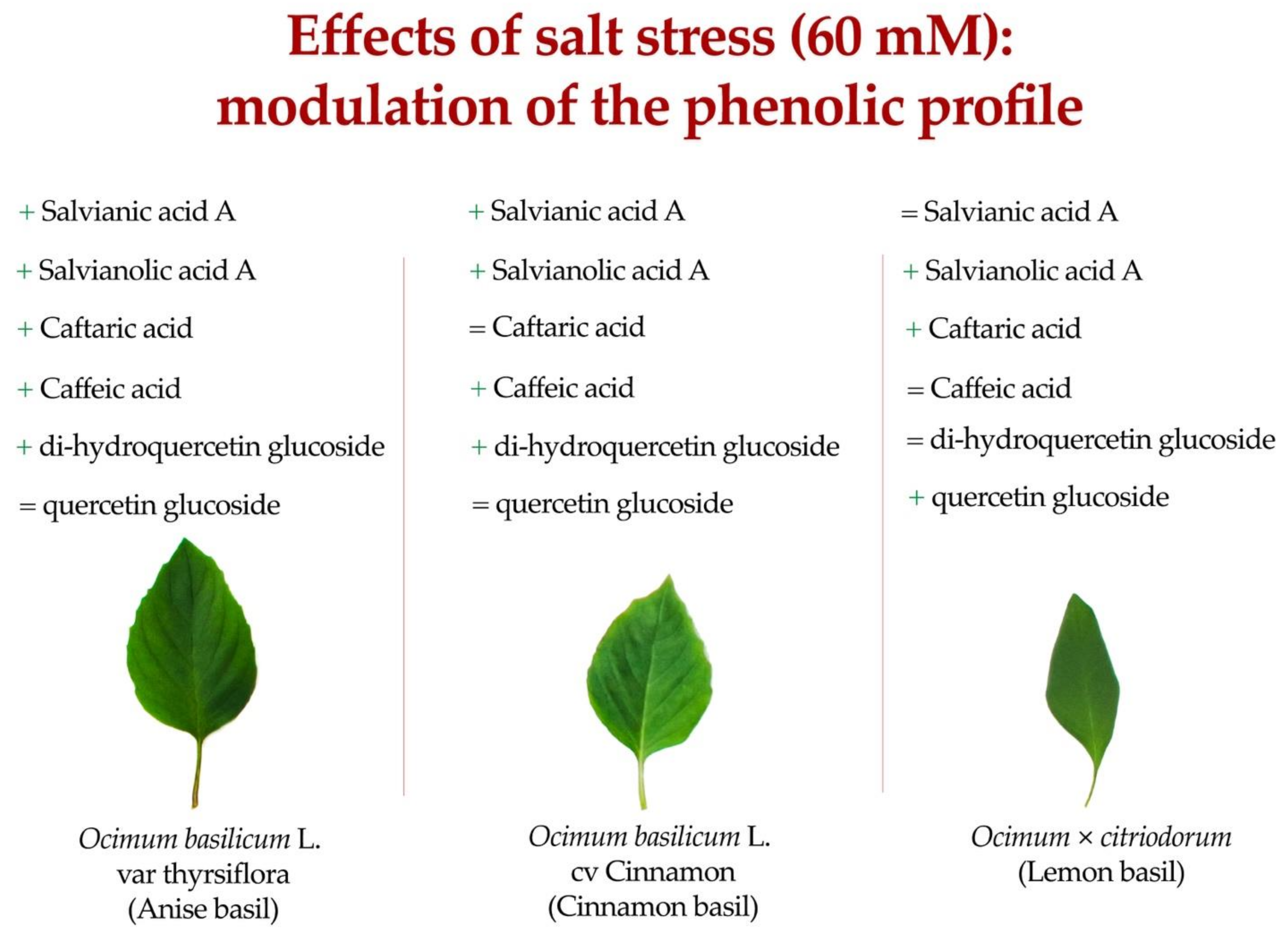 Antioxidants Free Full Text Morpho Physiological and