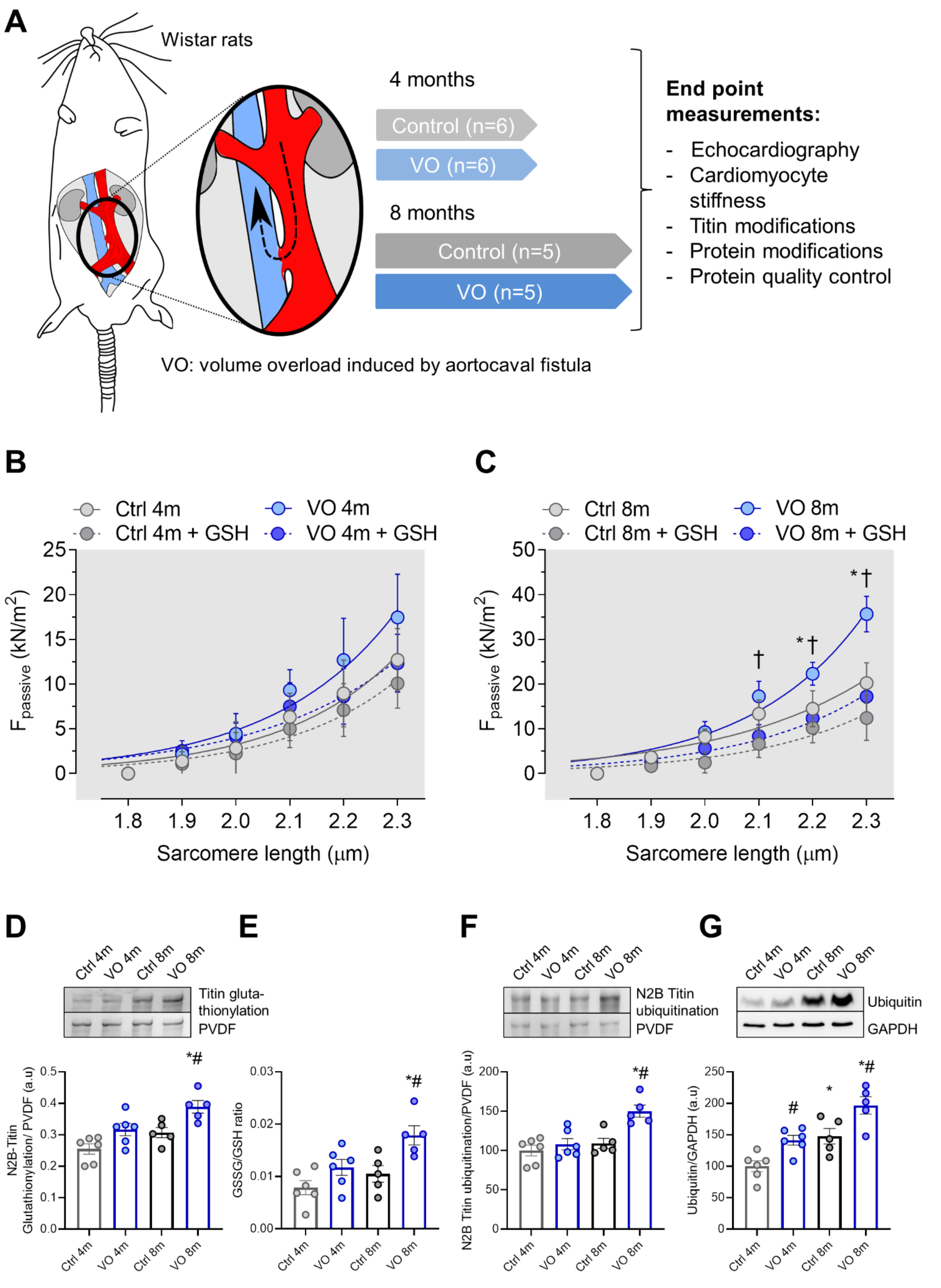 Antioxidants 11 02210 g001