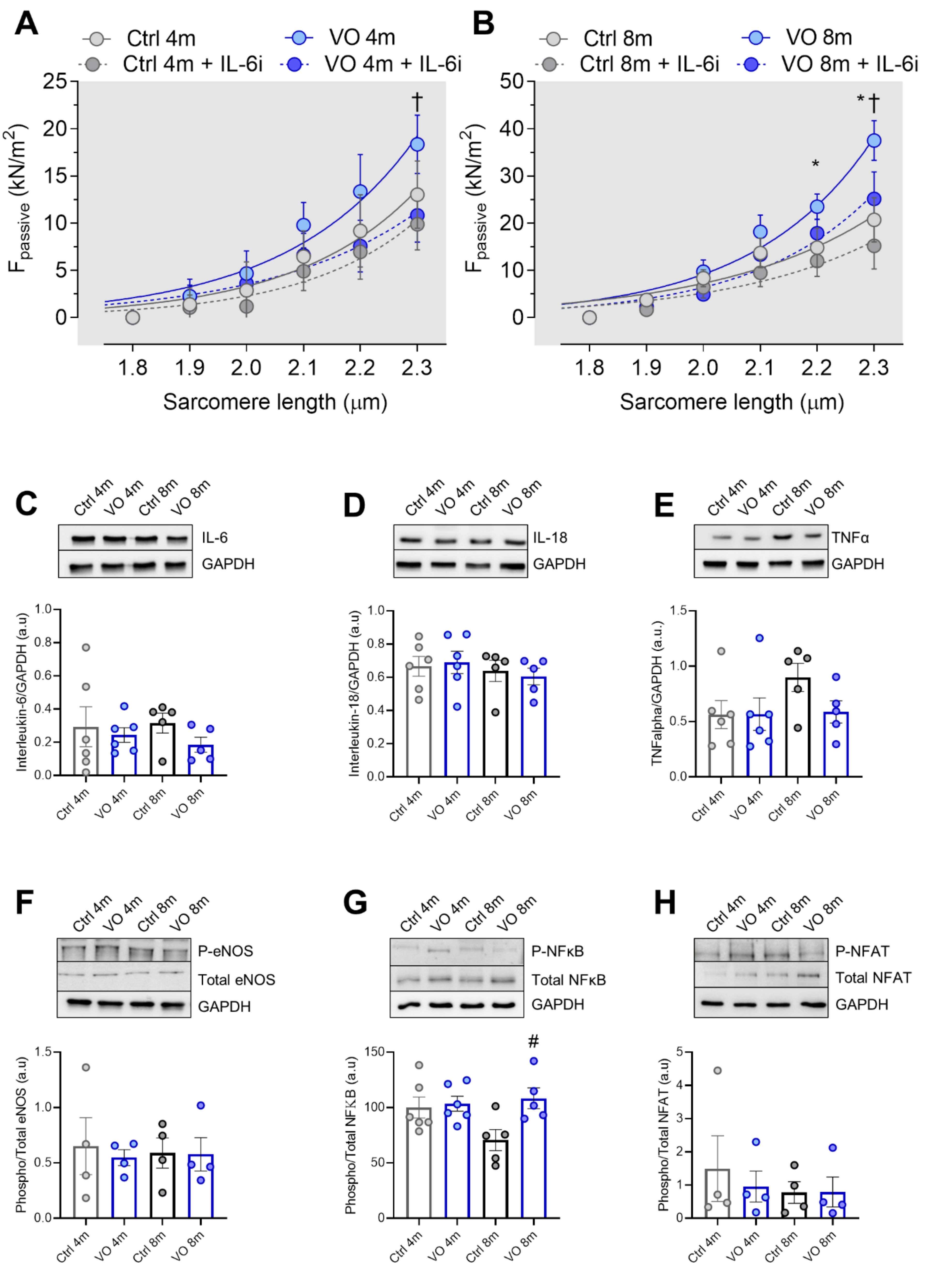 Antioxidants 11 02210 g002