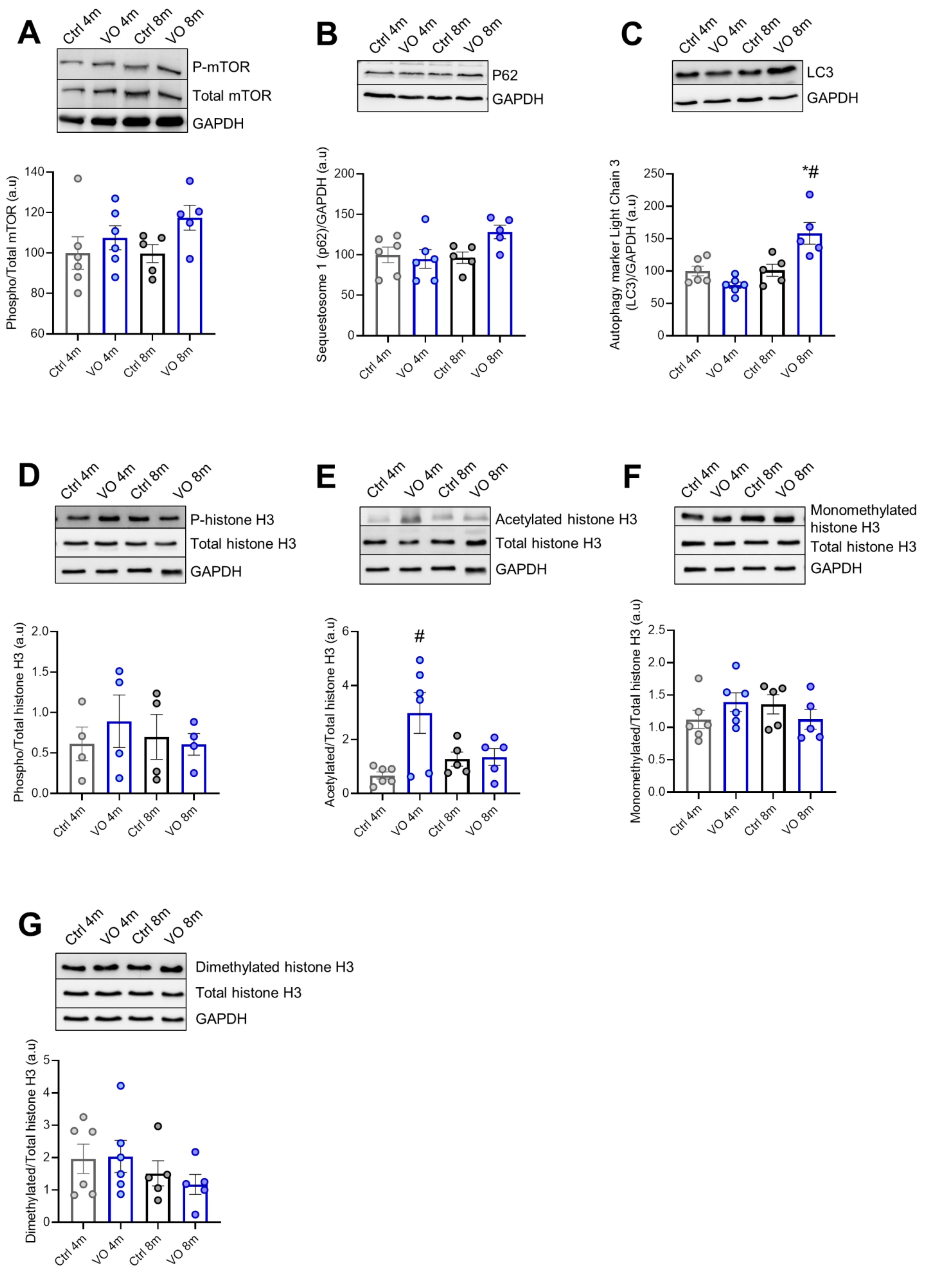 Antioxidants 11 02210 g003