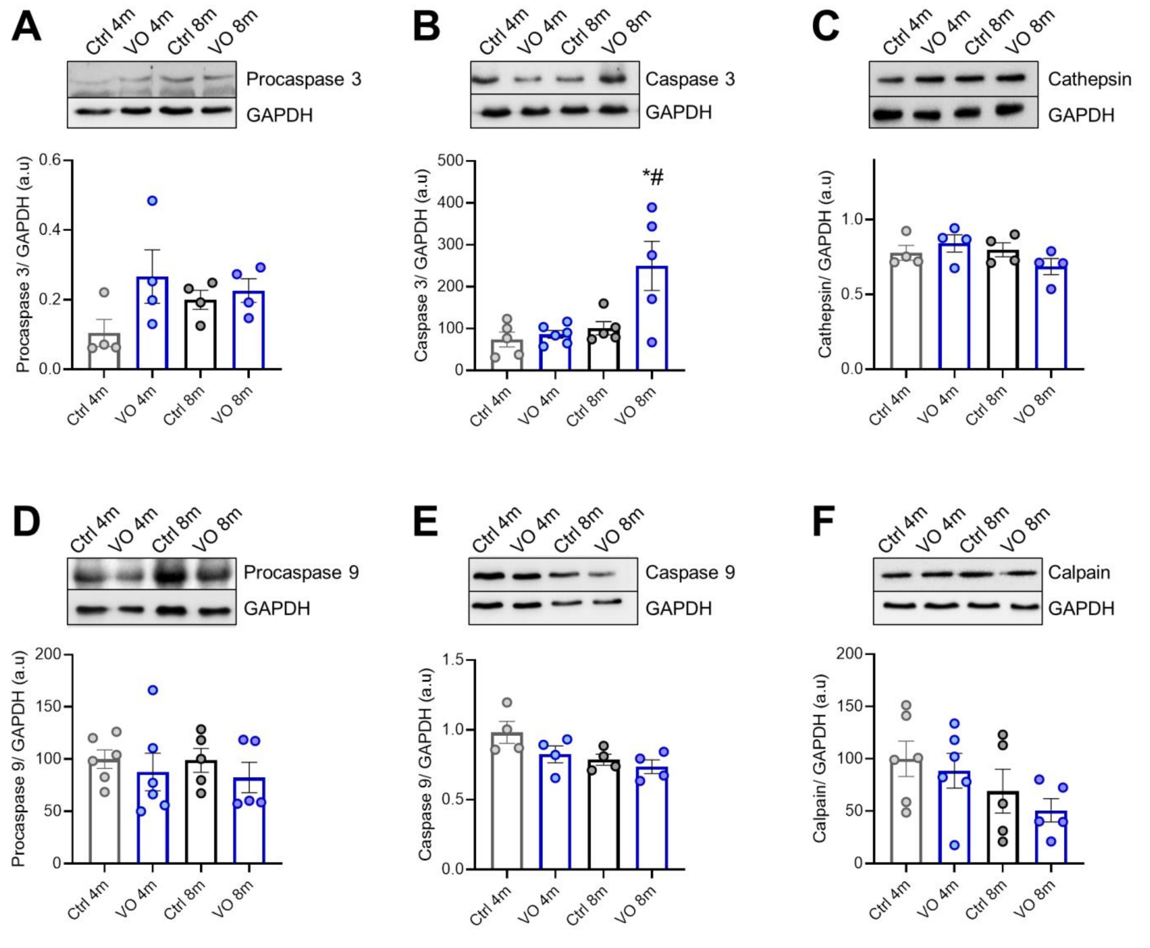 Antioxidants 11 02210 g004